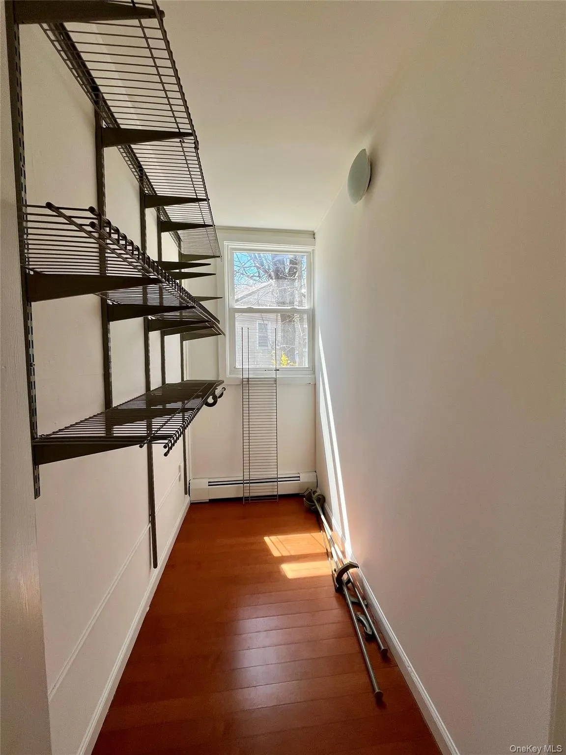 Hallway featuring hardwood / wood-style flooring, a baseboard radiator, and baseboards Hallway featuring hardwood / wood-style flooring, a baseboard radiator, and baseboards