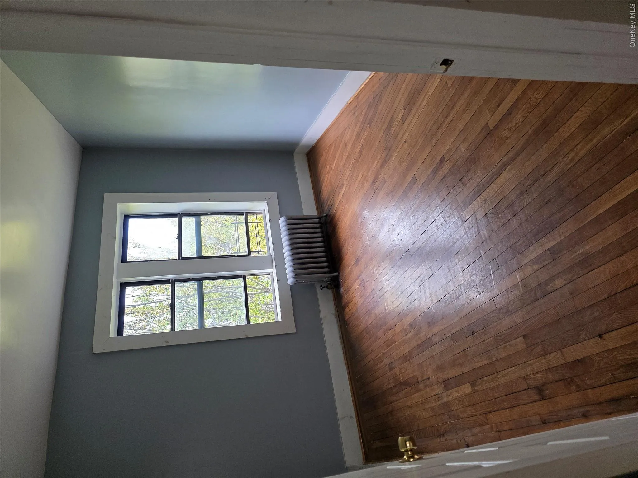 1115 Dorchester Road, New York, NY, 2 Bedrooms Bedrooms, 5 Rooms Rooms,1 BathroomBathrooms,Residential Lease,For Rent,Dorchester,0,995913 1115 Dorchester Road, New York, NY, 2 Bedrooms Bedrooms, 5 Rooms Rooms,1 BathroomBathrooms,Residential Lease,For Rent,Dorchester,0,995913