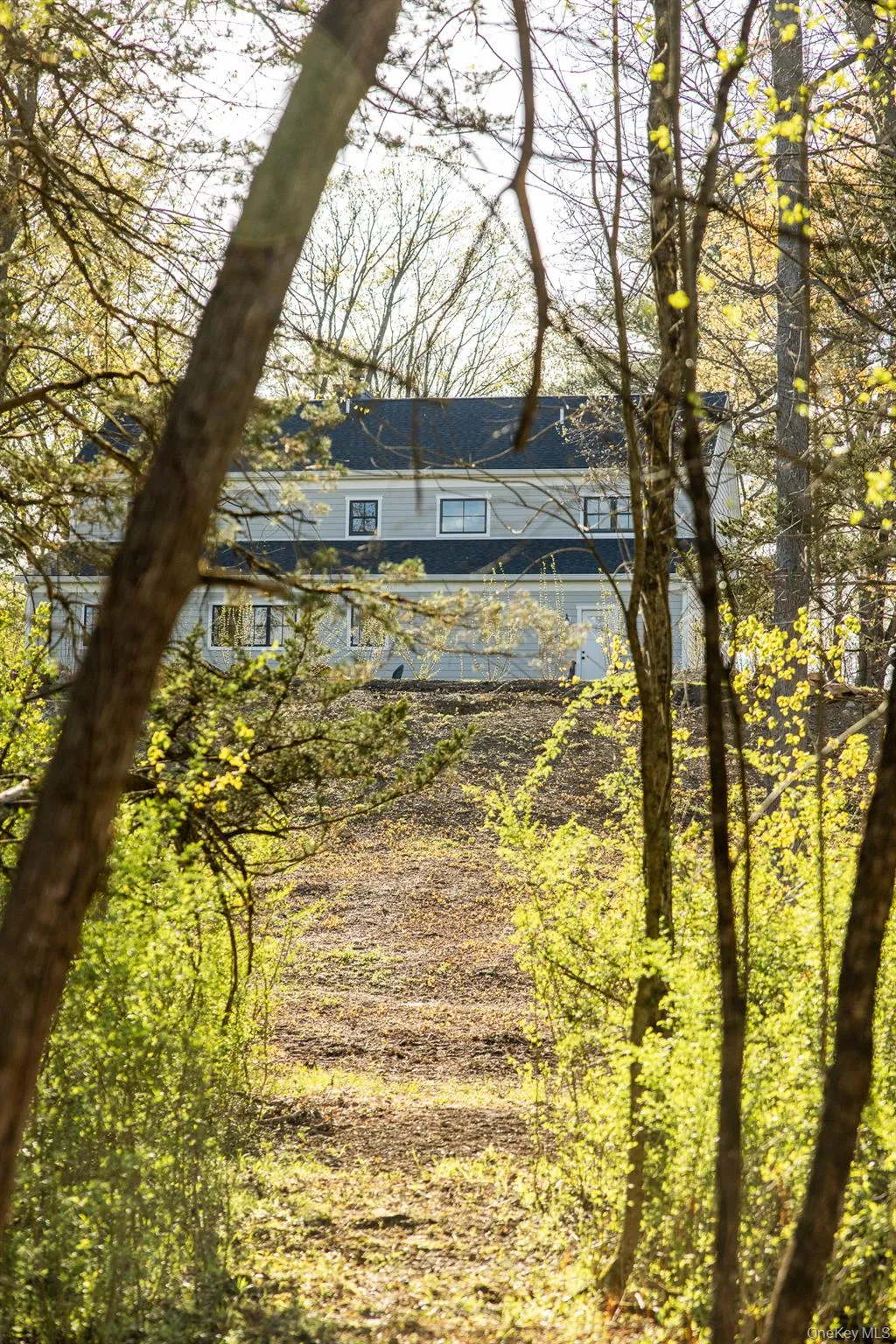 Look up at the home from the forest Look up at the home from the forest