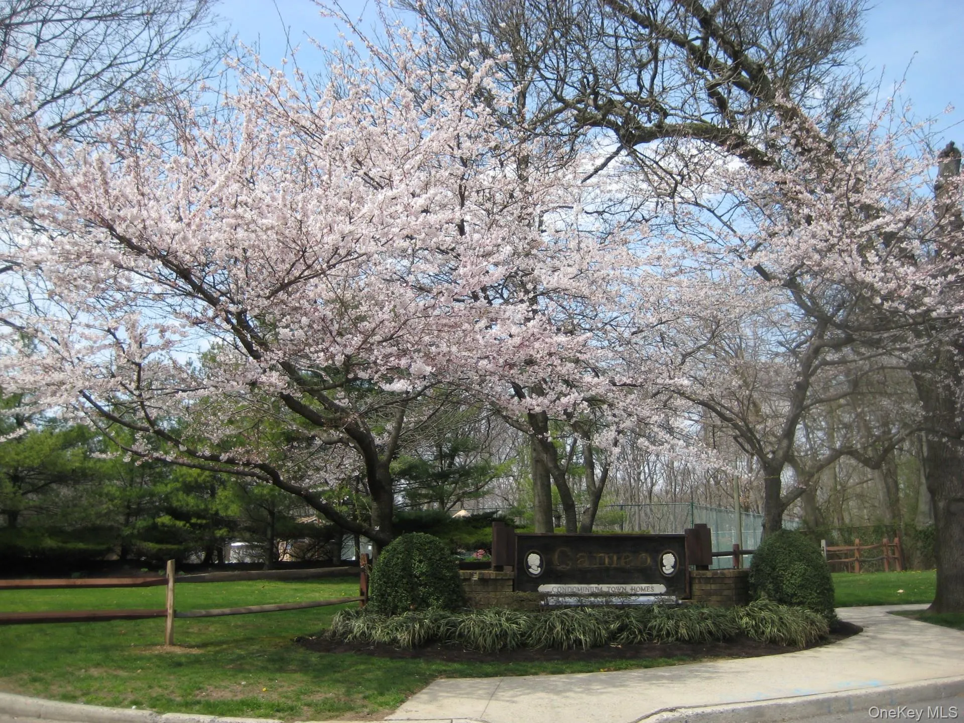40 Town House Drive, Oyster Bay, NY, 3 Bedrooms Bedrooms, 6 Rooms Rooms,1 BathroomBathrooms,Residential,For Rent,Town House,0,995998 40 Town House Drive, Oyster Bay, NY, 3 Bedrooms Bedrooms, 6 Rooms Rooms,1 BathroomBathrooms,Residential,For Rent,Town House,0,995998