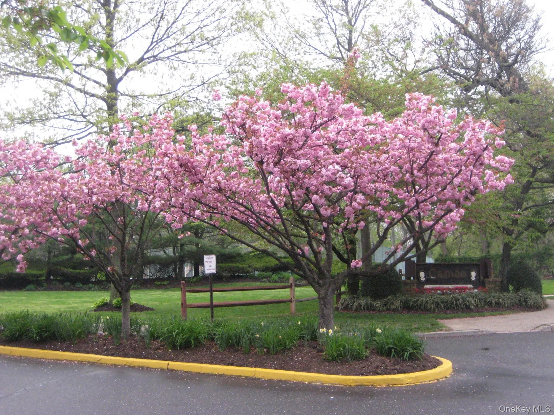 Gorgeous landscaping at entrance of complex Gorgeous landscaping at entrance of complex