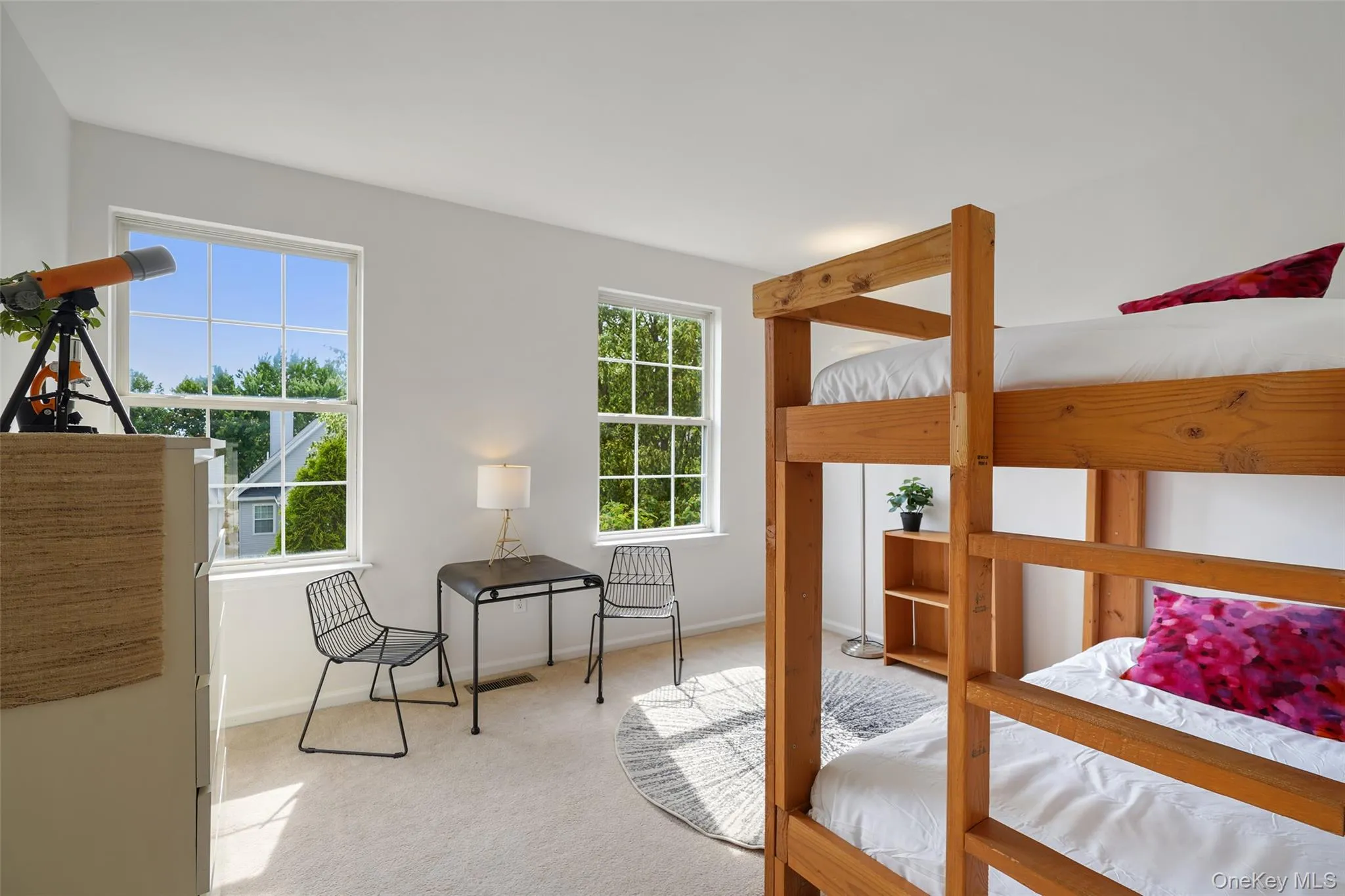 Carpeted room featuring two large windows, and light-toned walls Carpeted room featuring two large windows, and light-toned walls