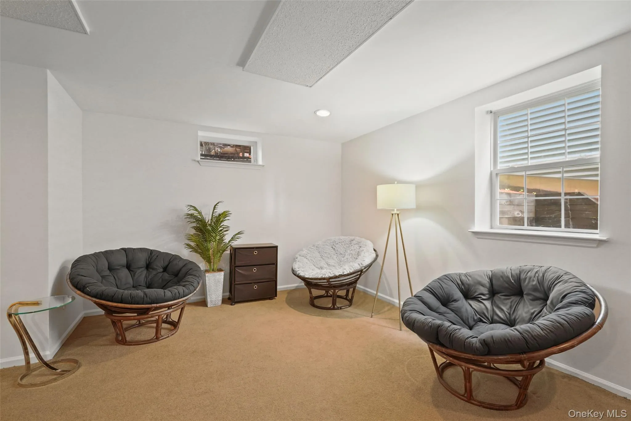 Carpeted room with white painted walls and a drop ceiling Carpeted room with white painted walls and a drop ceiling