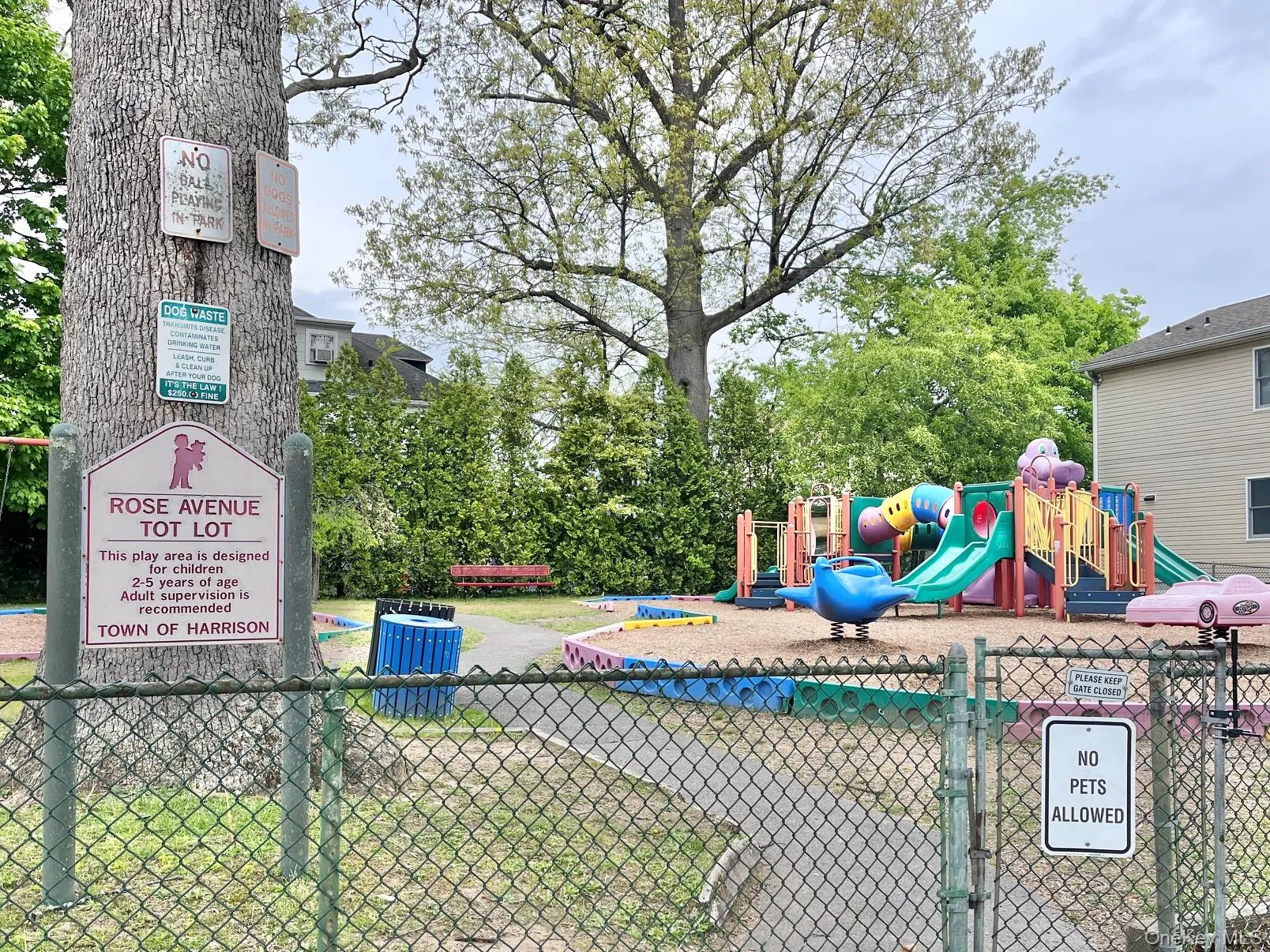 53 Rose Avenue, Harrison, NY, 3 Bedrooms Bedrooms, 6 Rooms Rooms,1 BathroomBathrooms,Residential Lease,For Rent,Rose,0,996048 53 Rose Avenue, Harrison, NY, 3 Bedrooms Bedrooms, 6 Rooms Rooms,1 BathroomBathrooms,Residential Lease,For Rent,Rose,0,996048
