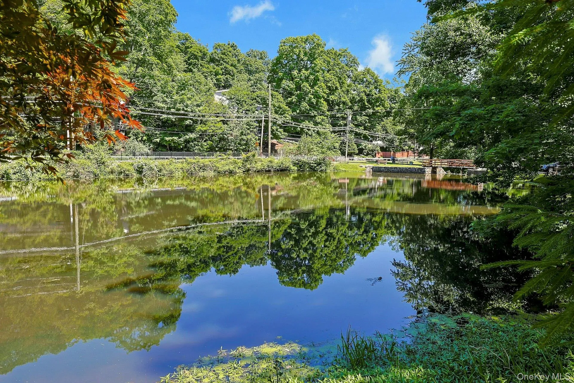A storybook setting that invites you to slow down and stay awhile. The spring-fed duck pond creates a peaceful backdrop throughout the seasons, surrounded by lush landscaping and quiet natural beauty. A storybook setting that invites you to slow down and stay awhile. The spring-fed duck pond creates a peaceful backdrop throughout the seasons, surrounded by lush landscaping and quiet natural beauty.