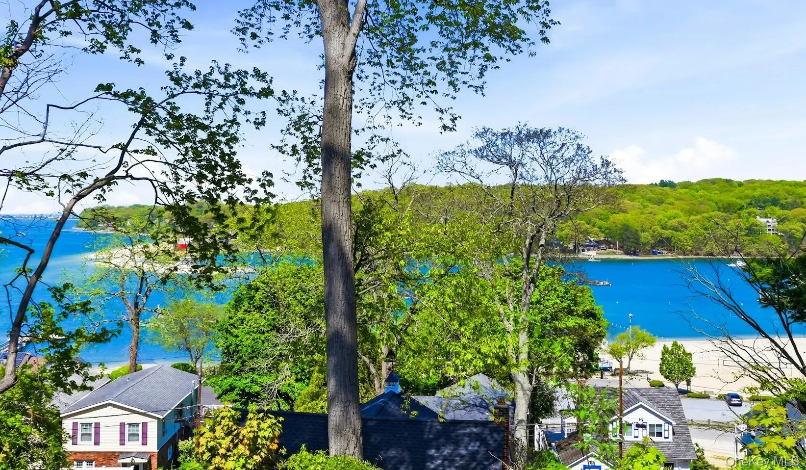 Expansive water body with a sandy shoreline surrounded by lush green foliage Expansive water body with a sandy shoreline surrounded by lush green foliage