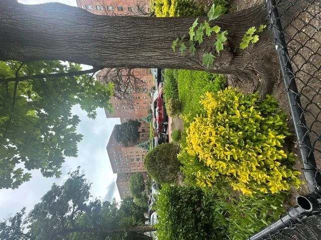 2 FISHER Drive, Mount Vernon, NY, 2 Bedrooms Bedrooms, 5 Rooms Rooms,1 BathroomBathrooms,Residential,For Rent,FISHER,0,996097 2 FISHER Drive, Mount Vernon, NY, 2 Bedrooms Bedrooms, 5 Rooms Rooms,1 BathroomBathrooms,Residential,For Rent,FISHER,0,996097