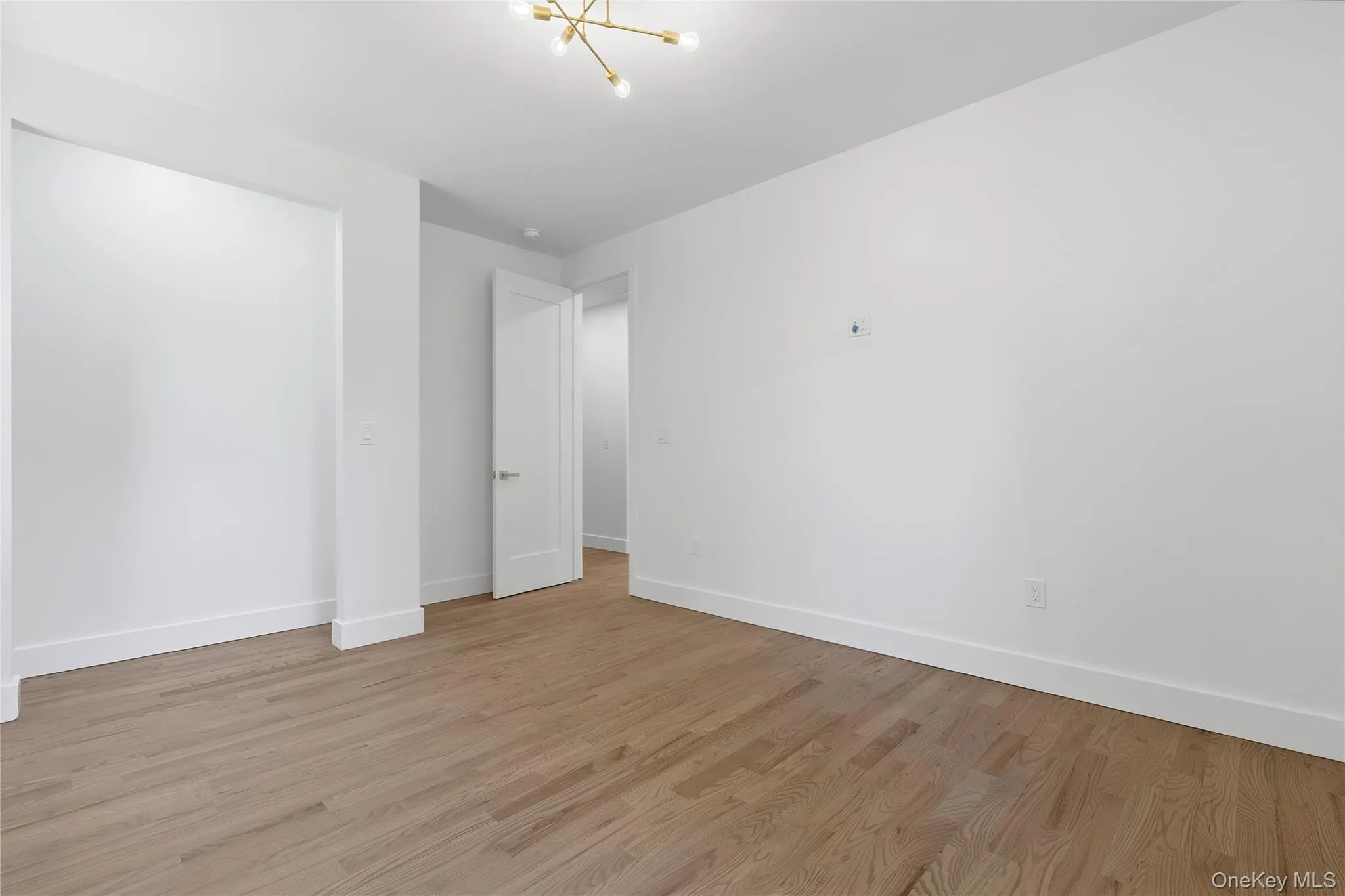 Spacious room featuring wood-finish flooring, white baseboards, and a modern gold-toned sputnik chandelier Spacious room featuring wood-finish flooring, white baseboards, and a modern gold-toned sputnik chandelier