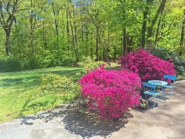 101 Gatto Lane, Orangetown, NY, 2 Bedrooms Bedrooms, 5 Rooms Rooms,1 BathroomBathrooms,Residential Lease,For Rent,Gatto,0,996166 101 Gatto Lane, Orangetown, NY, 2 Bedrooms Bedrooms, 5 Rooms Rooms,1 BathroomBathrooms,Residential Lease,For Rent,Gatto,0,996166