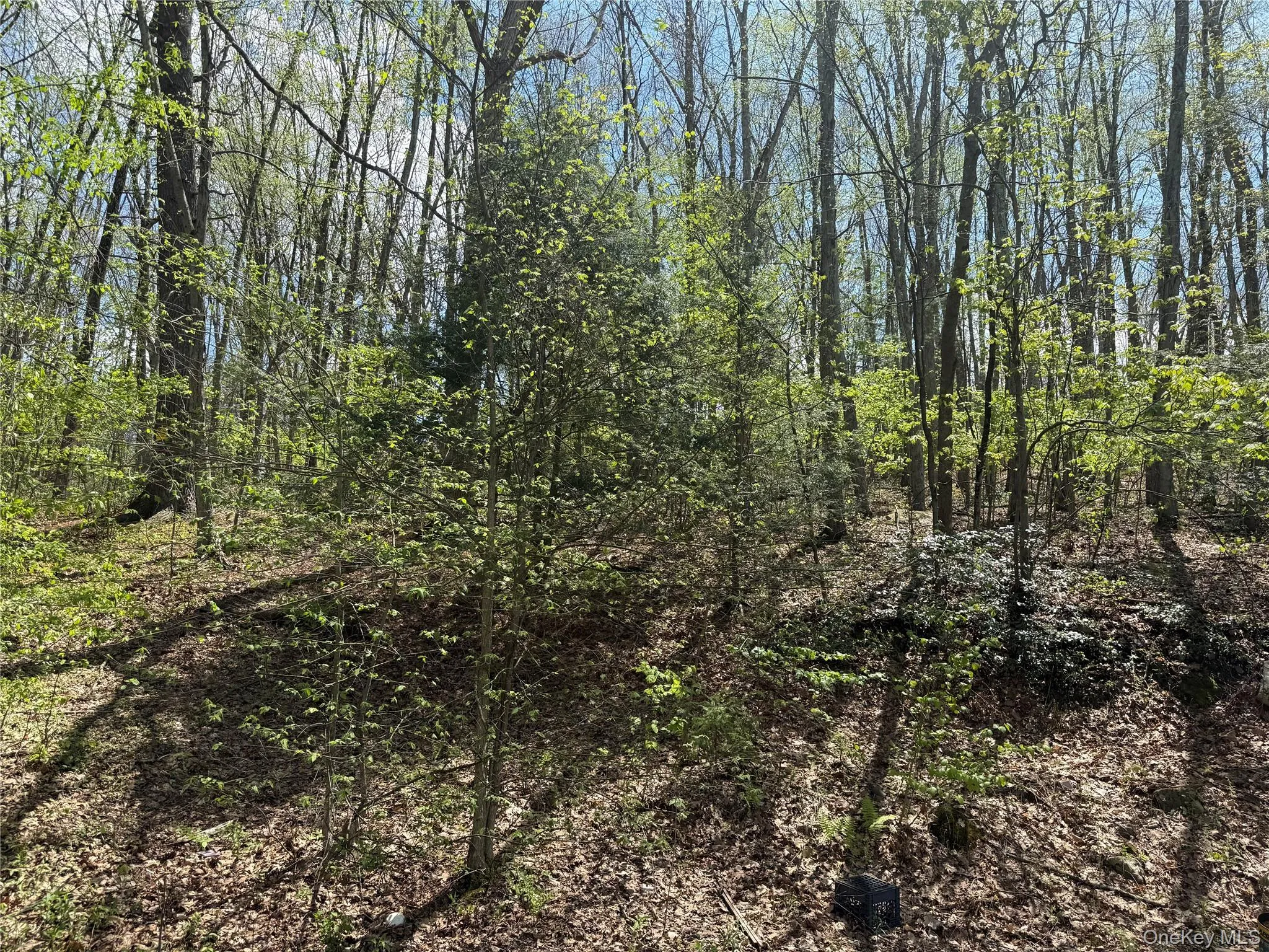 46 Lime Kiln Road, Port Jervis, NY, 2 Bedrooms Bedrooms, 5 Rooms Rooms,1 BathroomBathrooms,Residential Lease,For Rent,Lime Kiln,0,996236 46 Lime Kiln Road, Port Jervis, NY, 2 Bedrooms Bedrooms, 5 Rooms Rooms,1 BathroomBathrooms,Residential Lease,For Rent,Lime Kiln,0,996236