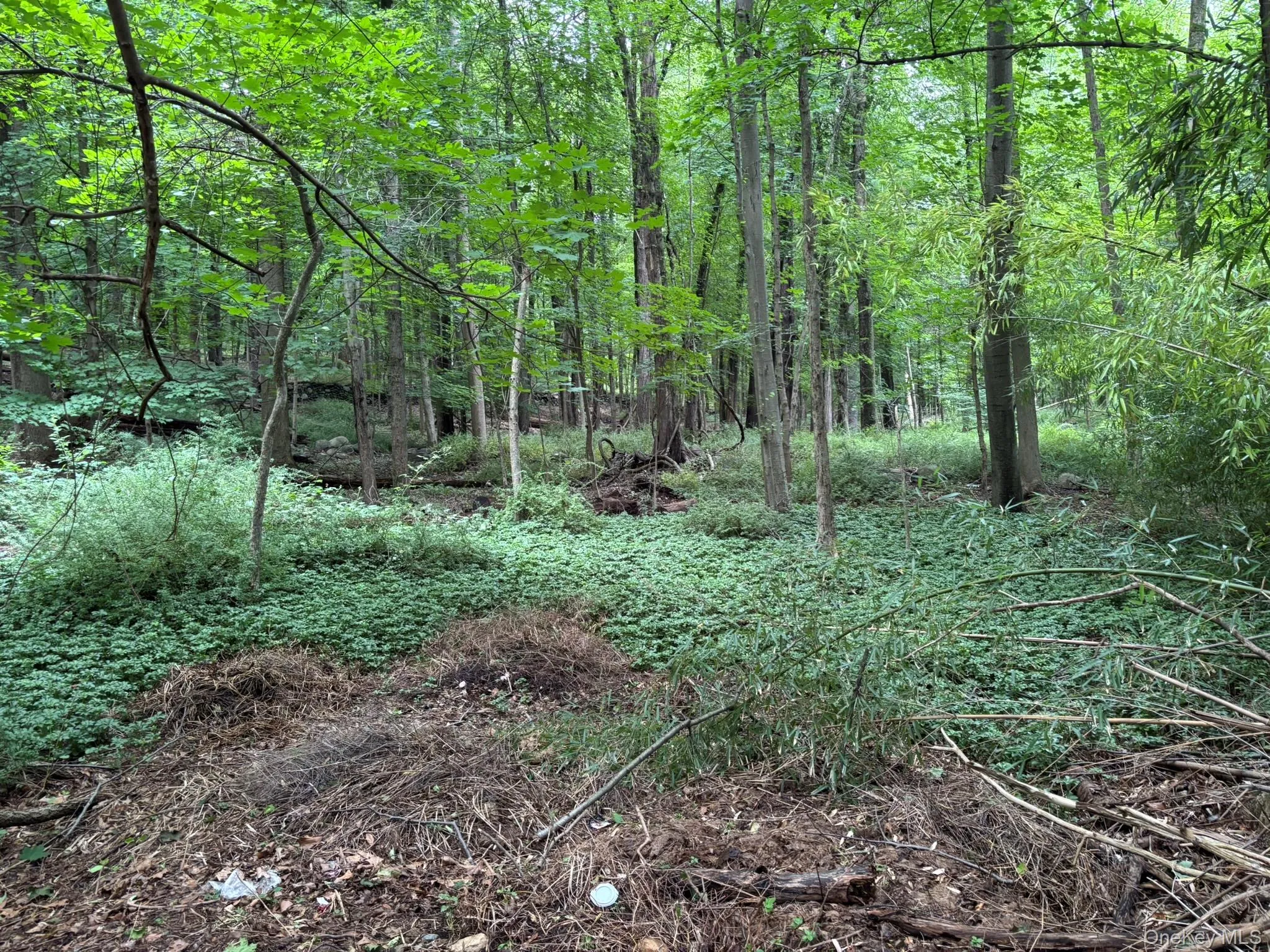 163 Green Lane, Bedford, NY, ,Land,For Rent,Green,0,996291 163 Green Lane, Bedford, NY, ,Land,For Rent,Green,0,996291