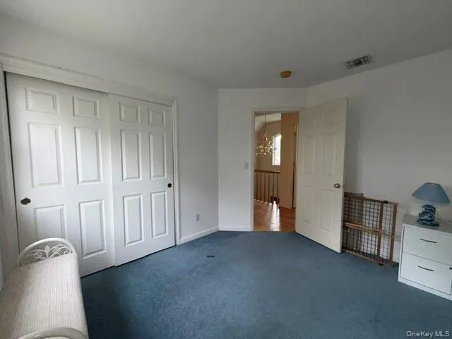 Bright interior room with blue carpeting, featuring a double-door closet with paneled doors and dark hardware Bright interior room with blue carpeting, featuring a double-door closet with paneled doors and dark hardware