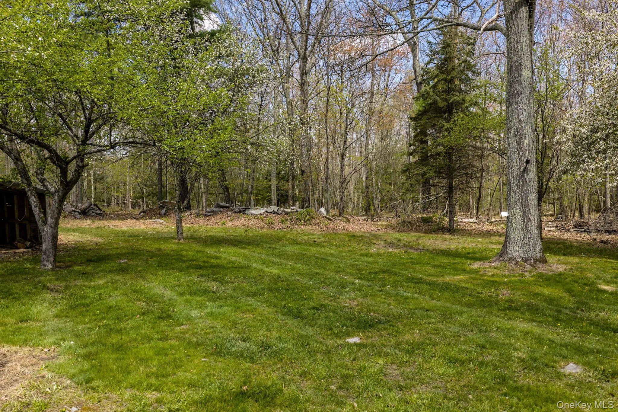 88 Peenpack Trail, Deerpark, NY, 3 Bedrooms Bedrooms, 5 Rooms Rooms,1 BathroomBathrooms,Residential,For Rent,Peenpack,0,996339 88 Peenpack Trail, Deerpark, NY, 3 Bedrooms Bedrooms, 5 Rooms Rooms,1 BathroomBathrooms,Residential,For Rent,Peenpack,0,996339
