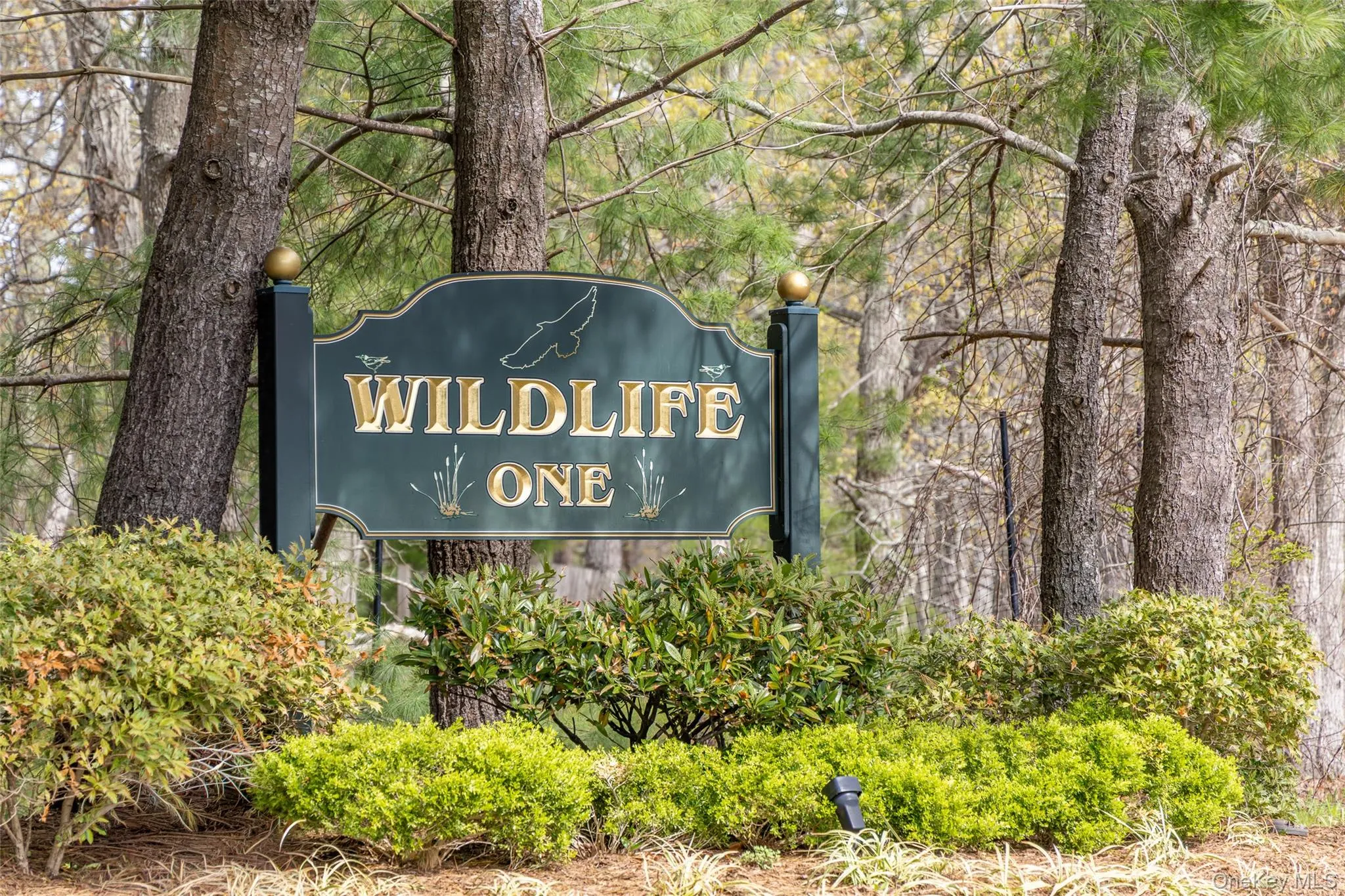 1 Whippoorwill Lane, Southampton, NY, 4 Bedrooms Bedrooms, 8 Rooms Rooms,4 BathroomsBathrooms,Residential Lease,For Rent,Whippoorwill,0,996369 1 Whippoorwill Lane, Southampton, NY, 4 Bedrooms Bedrooms, 8 Rooms Rooms,4 BathroomsBathrooms,Residential Lease,For Rent,Whippoorwill,0,996369