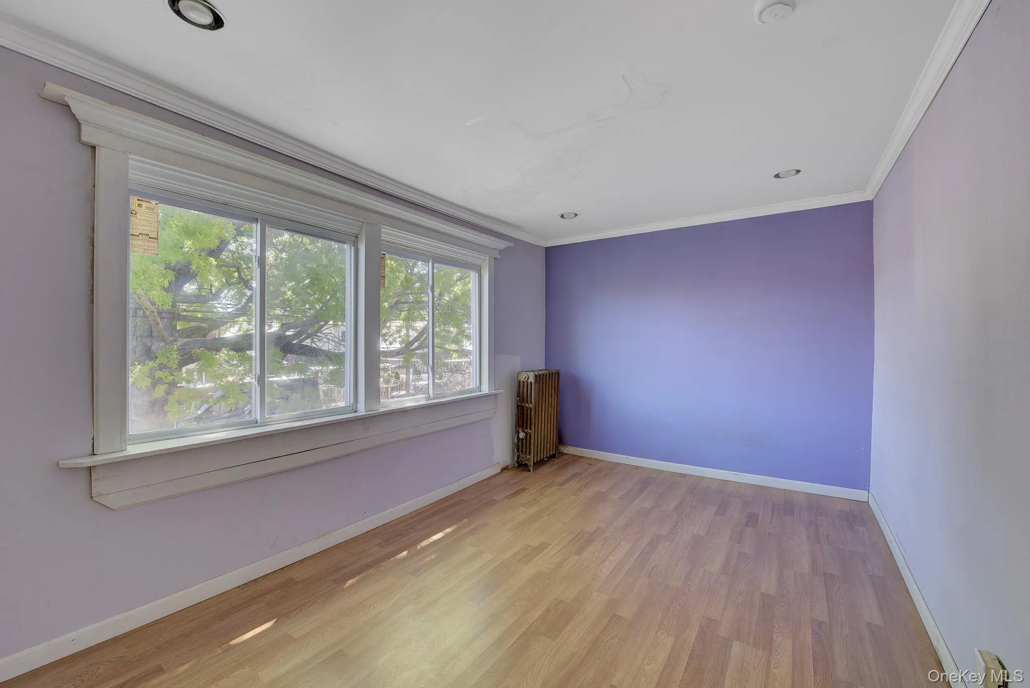 114-10 169th Street, New York, NY, 3 Bedrooms Bedrooms, 6 Rooms Rooms,1 BathroomBathrooms,Residential Sale,For Rent,169th,0,996391 114-10 169th Street, New York, NY, 3 Bedrooms Bedrooms, 6 Rooms Rooms,1 BathroomBathrooms,Residential Sale,For Rent,169th,0,996391