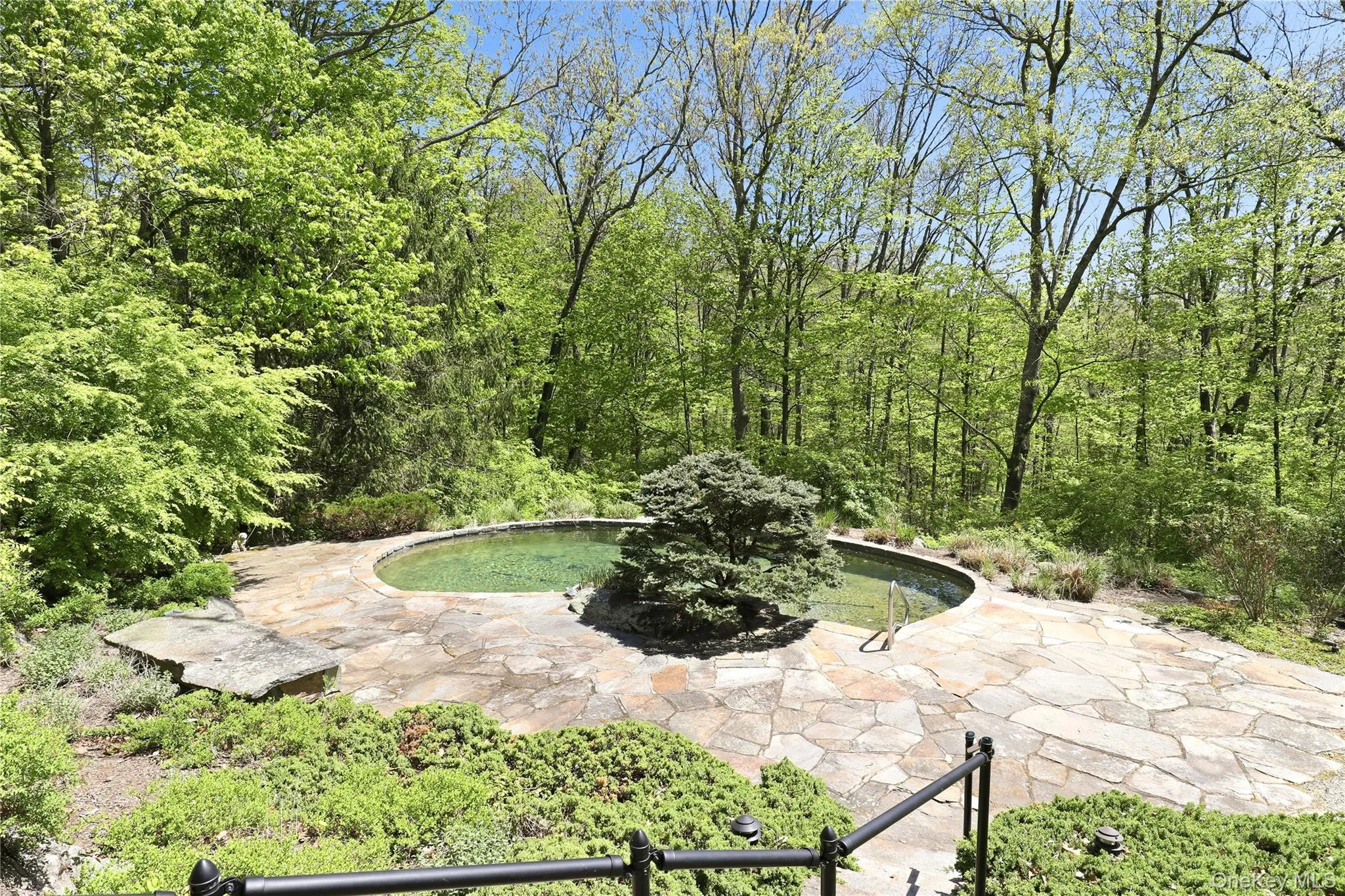 316 Haines Road, Bedford, NY, 4 Bedrooms Bedrooms, 10 Rooms Rooms,4 BathroomsBathrooms,Residential,For Rent,Haines,0,996461 316 Haines Road, Bedford, NY, 4 Bedrooms Bedrooms, 10 Rooms Rooms,4 BathroomsBathrooms,Residential,For Rent,Haines,0,996461