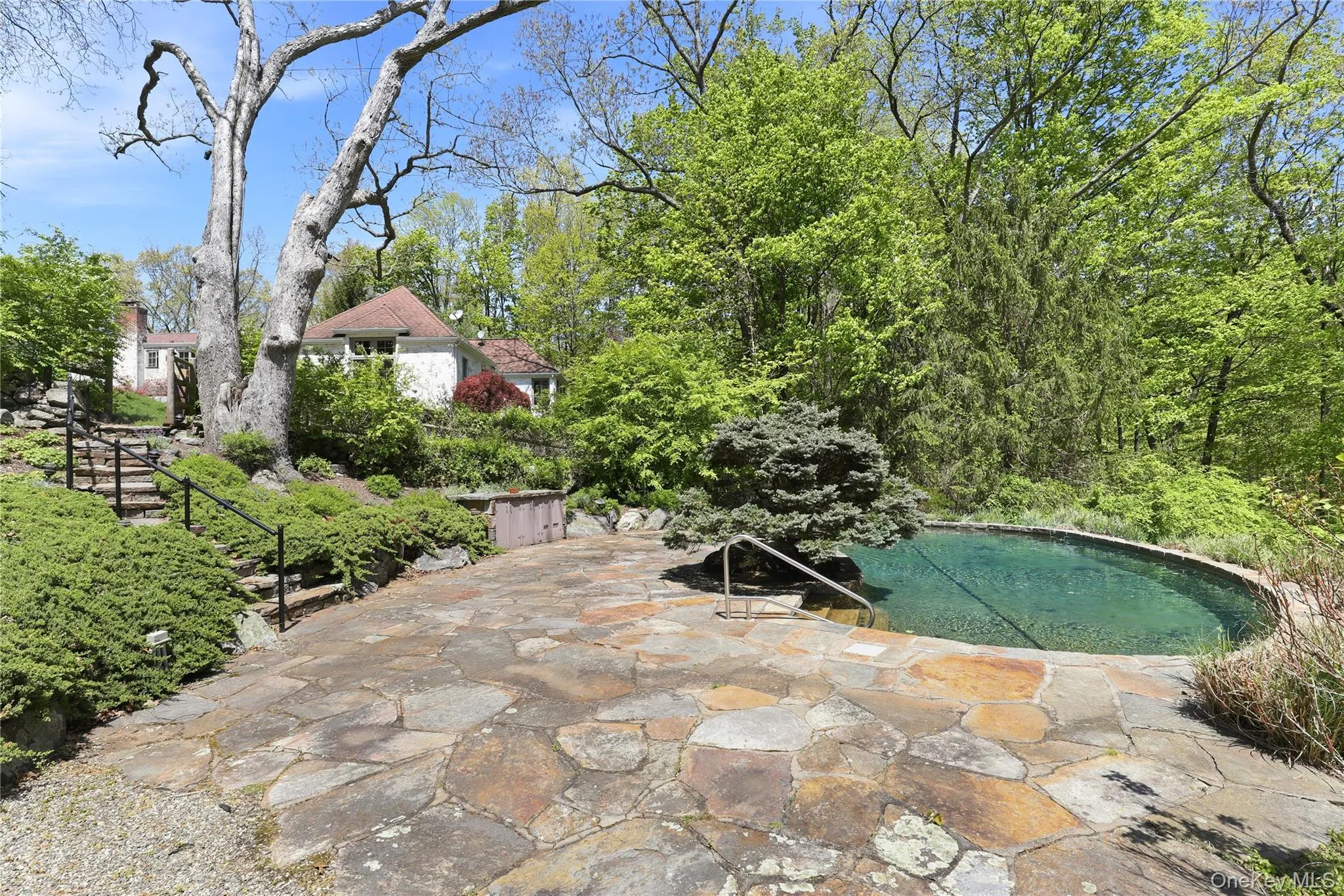 316 Haines Road, Bedford, NY, 4 Bedrooms Bedrooms, 10 Rooms Rooms,4 BathroomsBathrooms,Residential,For Rent,Haines,0,996461 316 Haines Road, Bedford, NY, 4 Bedrooms Bedrooms, 10 Rooms Rooms,4 BathroomsBathrooms,Residential,For Rent,Haines,0,996461