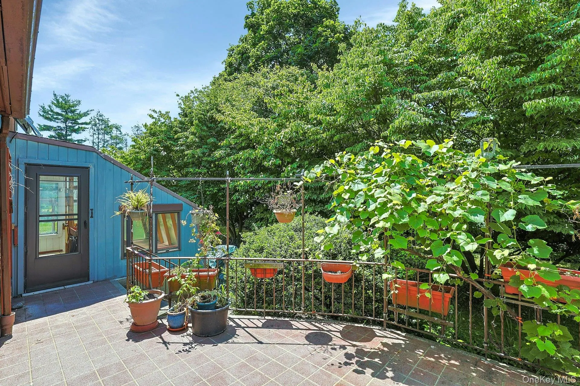 Patio Overlooking Backyard Patio Overlooking Backyard