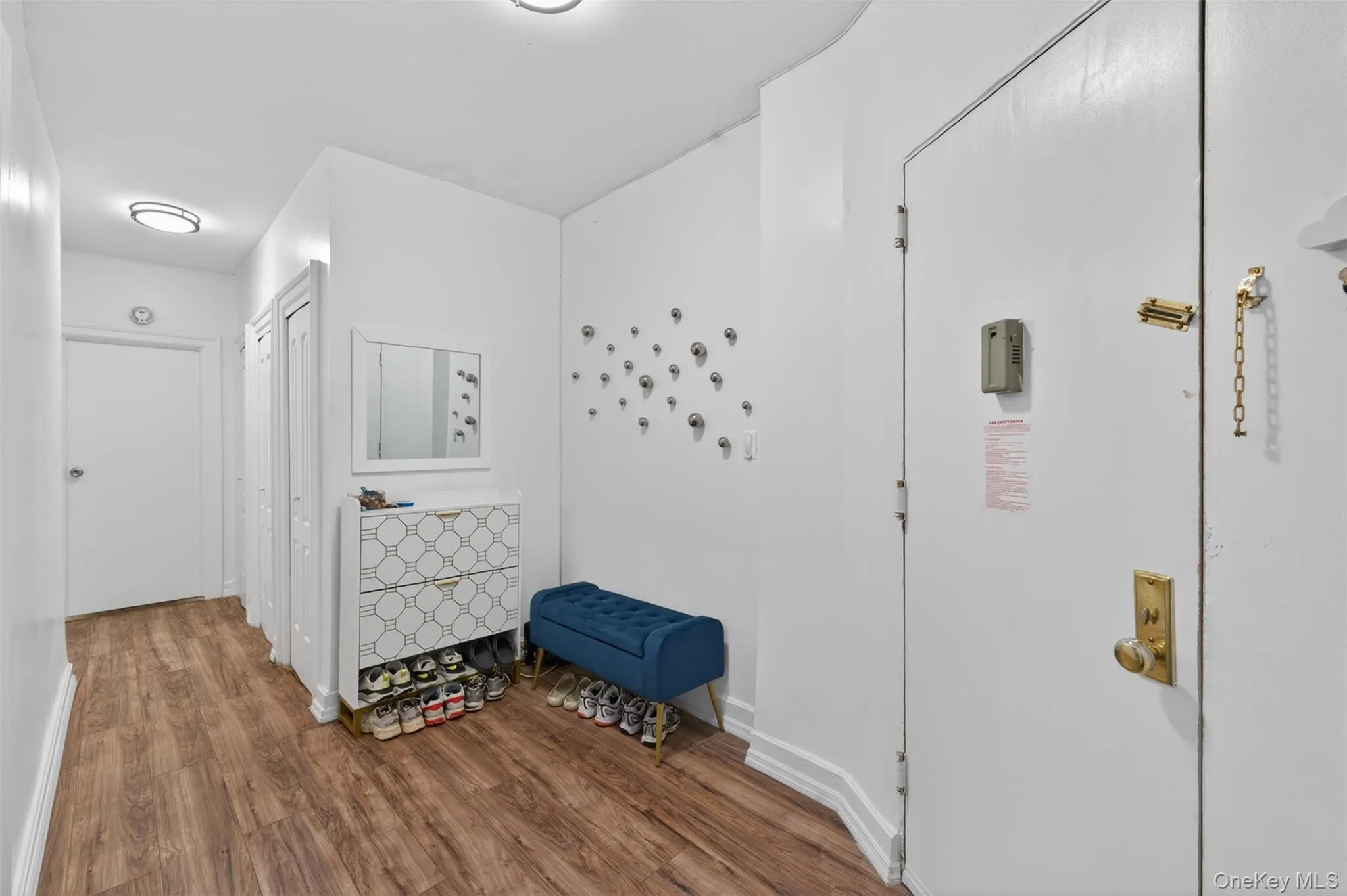 Entryway featuring wood-finish flooring, two flush-mount ceiling lights, and two bifold closet doors Entryway featuring wood-finish flooring, two flush-mount ceiling lights, and two bifold closet doors