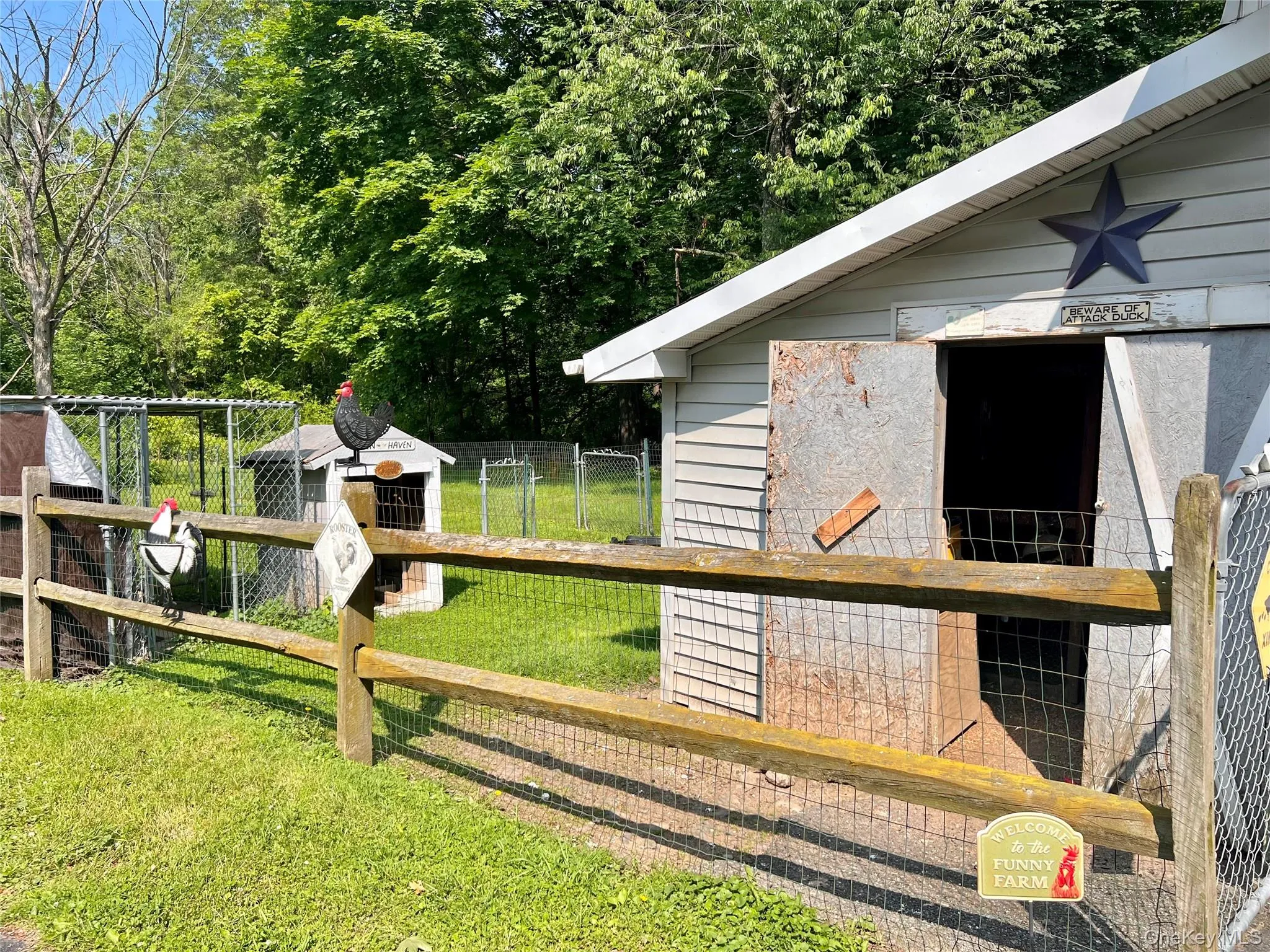Fenced in chicken coop Fenced in chicken coop