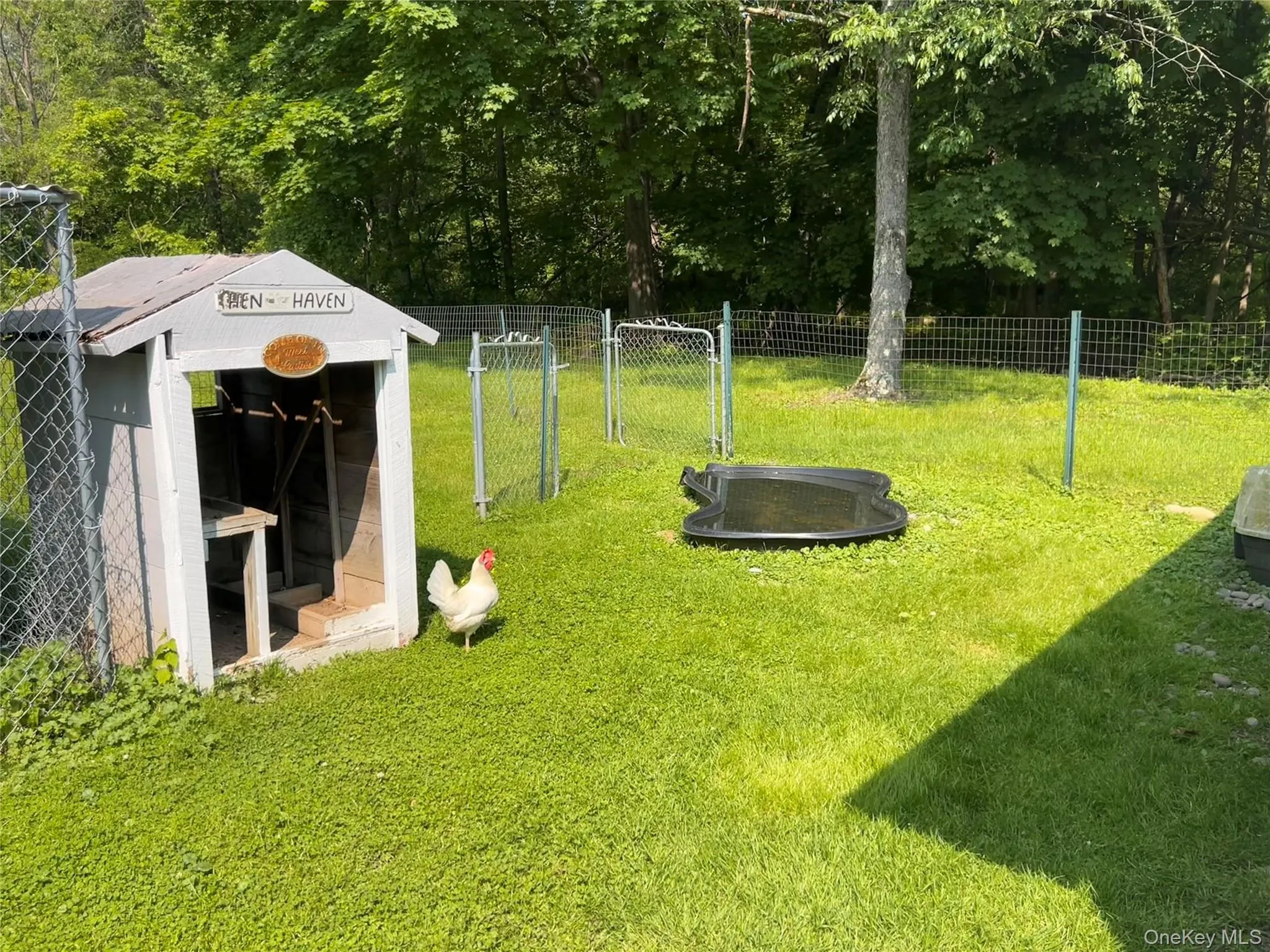 421 Orchard Drive, Plattekill, NY, 4 Bedrooms Bedrooms, 9 Rooms Rooms,1 BathroomBathrooms,Residential,For Rent,Orchard,0,996697 421 Orchard Drive, Plattekill, NY, 4 Bedrooms Bedrooms, 9 Rooms Rooms,1 BathroomBathrooms,Residential,For Rent,Orchard,0,996697