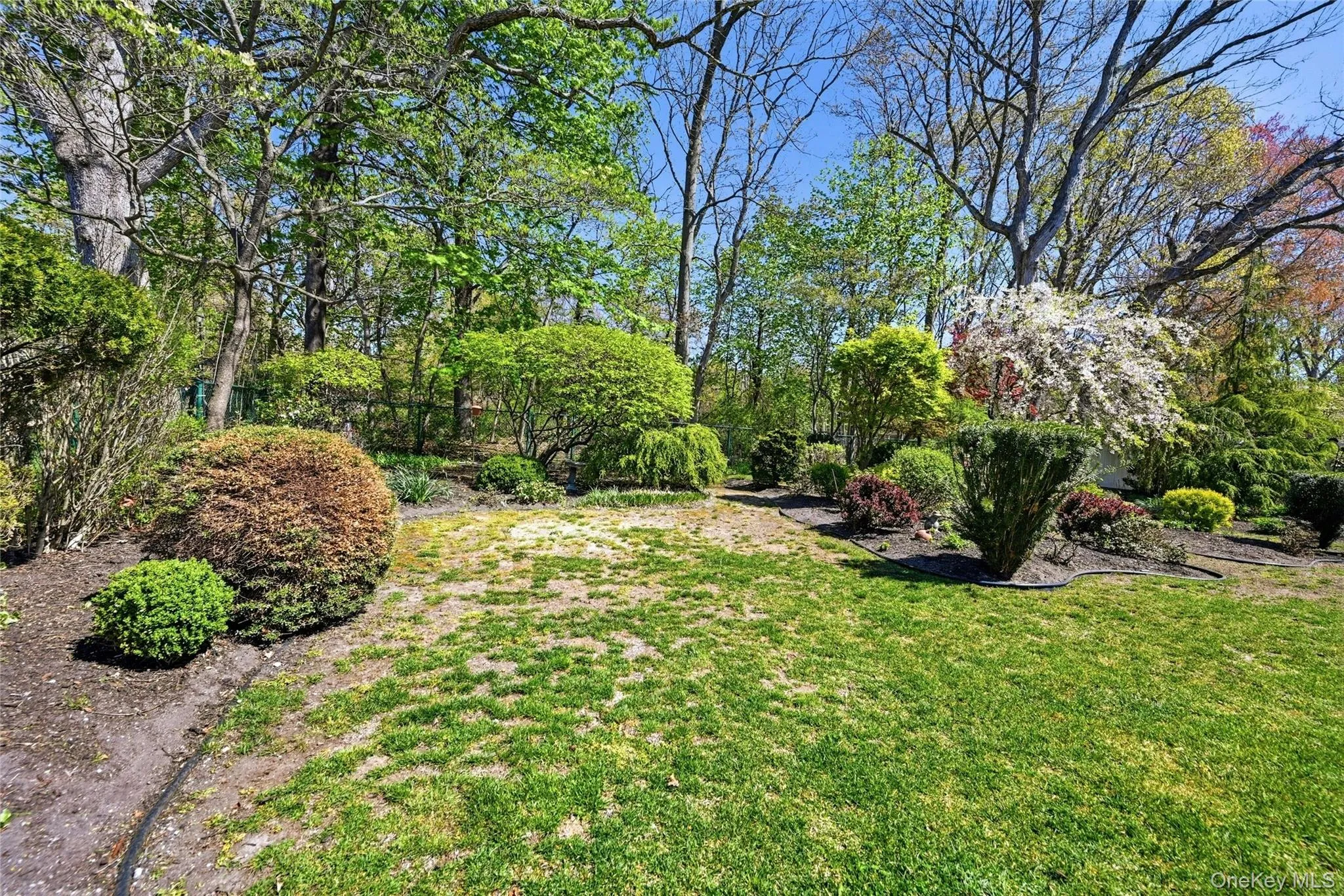 9 Robinson Street, Brookhaven, NY, 4 Bedrooms Bedrooms, 8 Rooms Rooms,2 BathroomsBathrooms,Residential,For Rent,Robinson,0,996696 9 Robinson Street, Brookhaven, NY, 4 Bedrooms Bedrooms, 8 Rooms Rooms,2 BathroomsBathrooms,Residential,For Rent,Robinson,0,996696