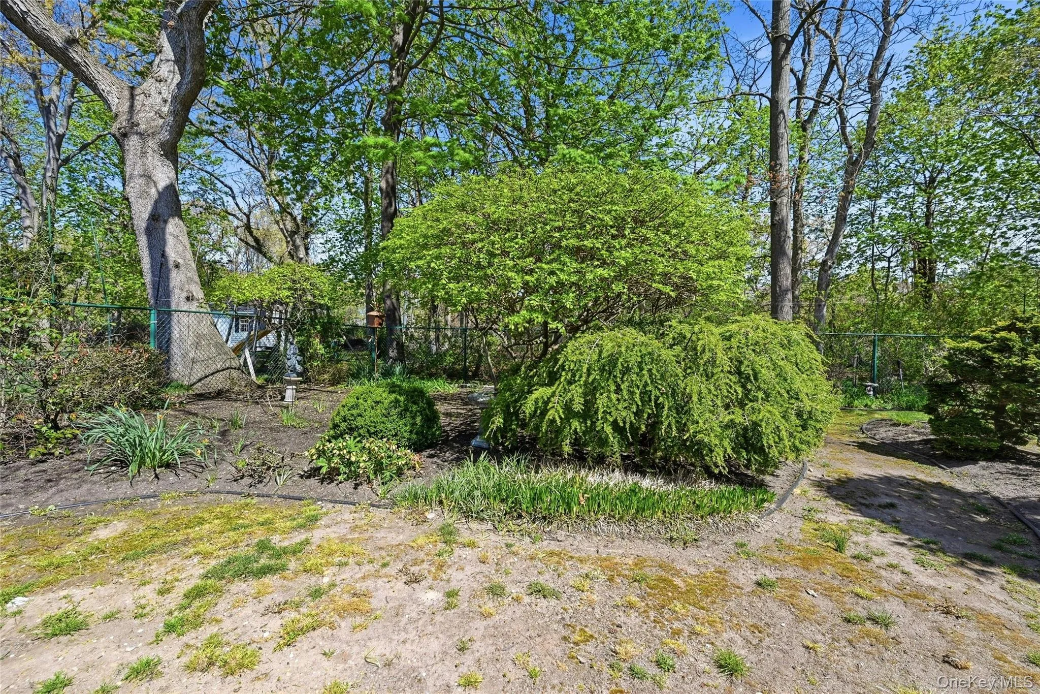 9 Robinson Street, Brookhaven, NY, 4 Bedrooms Bedrooms, 8 Rooms Rooms,2 BathroomsBathrooms,Residential,For Rent,Robinson,0,996696 9 Robinson Street, Brookhaven, NY, 4 Bedrooms Bedrooms, 8 Rooms Rooms,2 BathroomsBathrooms,Residential,For Rent,Robinson,0,996696
