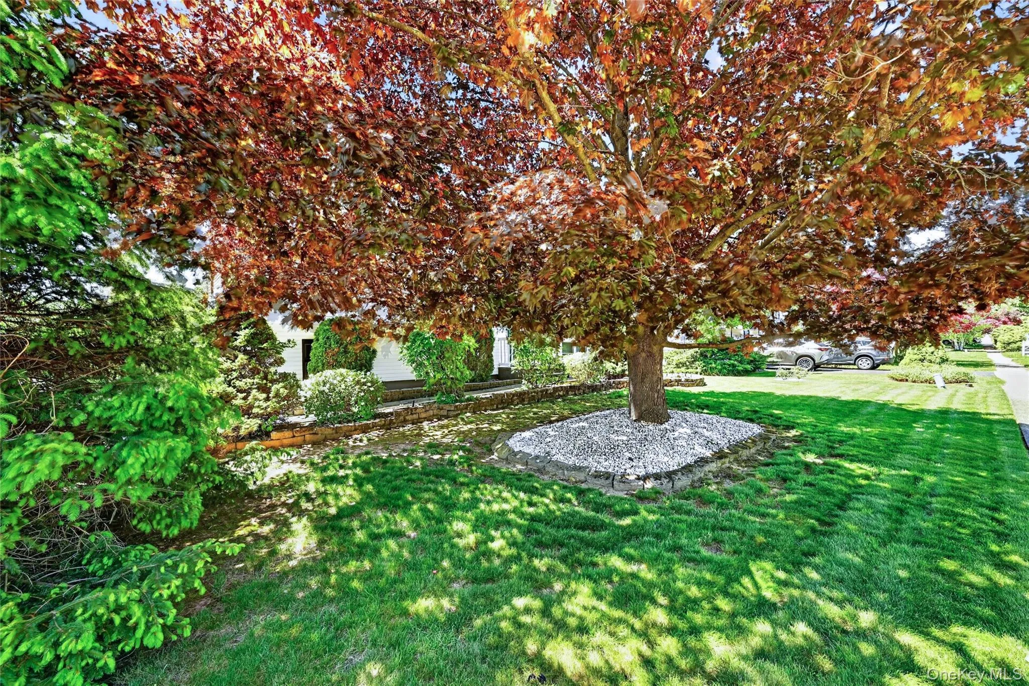 19 Sutherland Drive, Monroe, NY, 4 Bedrooms Bedrooms, 8 Rooms Rooms,1 BathroomBathrooms,Residential,For Rent,Sutherland,0,996717 19 Sutherland Drive, Monroe, NY, 4 Bedrooms Bedrooms, 8 Rooms Rooms,1 BathroomBathrooms,Residential,For Rent,Sutherland,0,996717