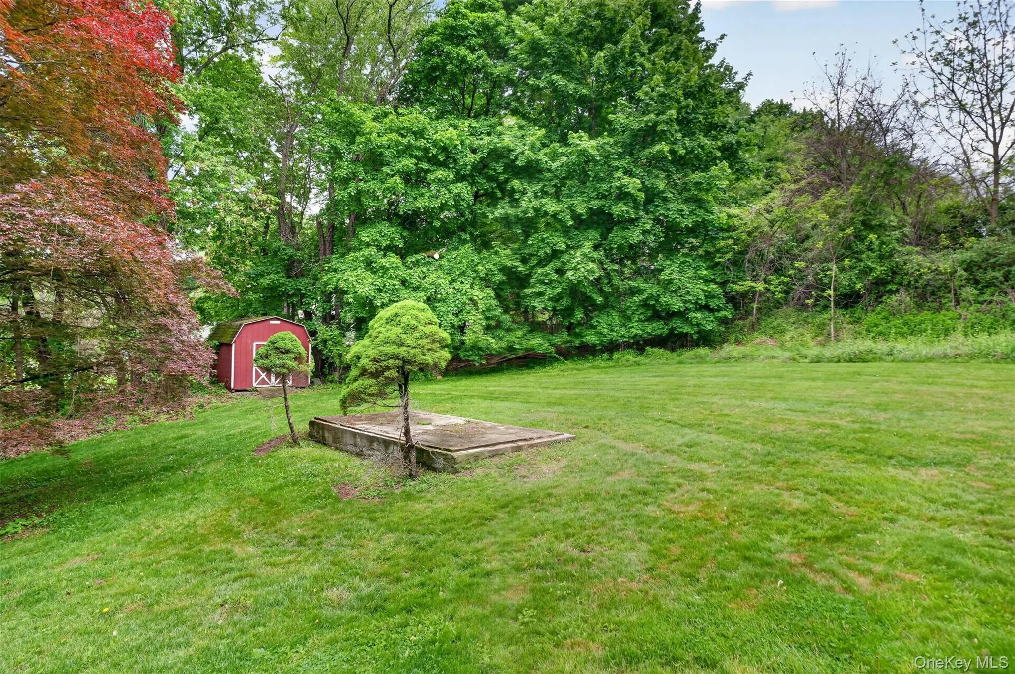 10 Edwin Road, Poughkeepsie, NY, 3 Bedrooms Bedrooms, 9 Rooms Rooms,2 BathroomsBathrooms,Residential,For Rent,Edwin,0,996738 10 Edwin Road, Poughkeepsie, NY, 3 Bedrooms Bedrooms, 9 Rooms Rooms,2 BathroomsBathrooms,Residential,For Rent,Edwin,0,996738