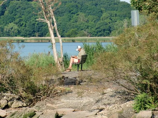 Enjoying the peace & quiet. Enjoying the peace & quiet.