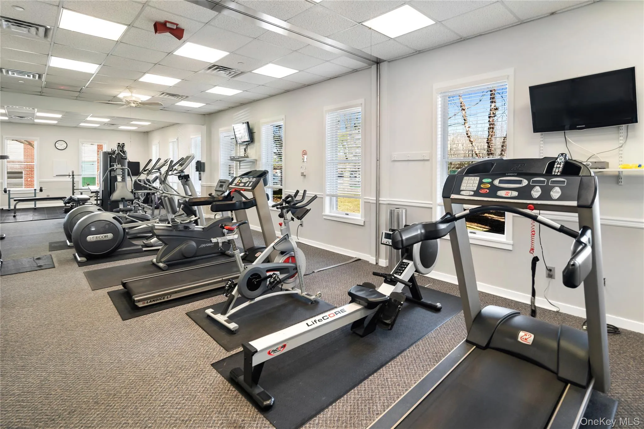 Fitness center. Fitness center.