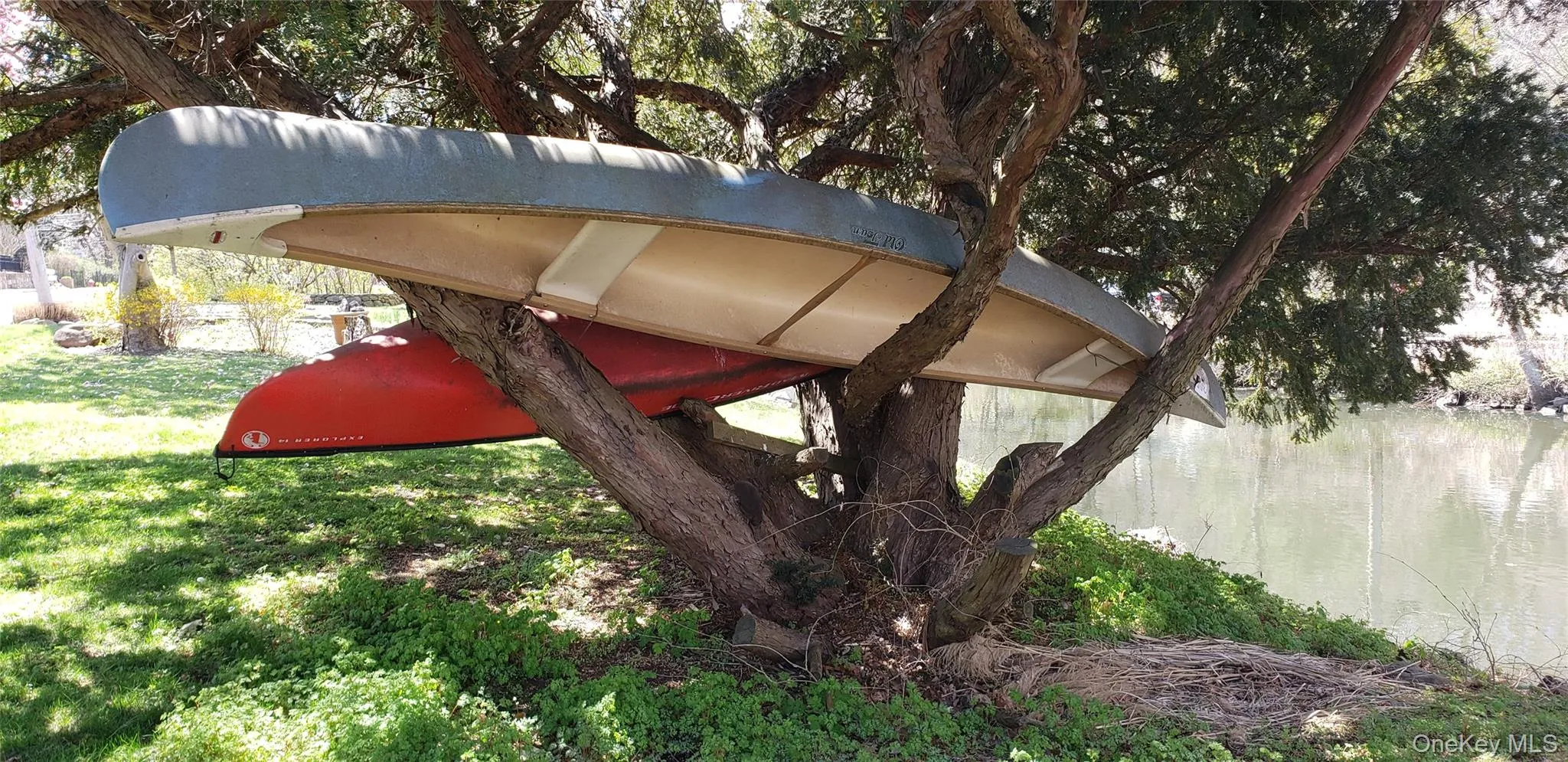 Canoes drying in the shade of a tree on the banks of the Hudson River. Canoes drying in the shade of a tree on the banks of the Hudson River.