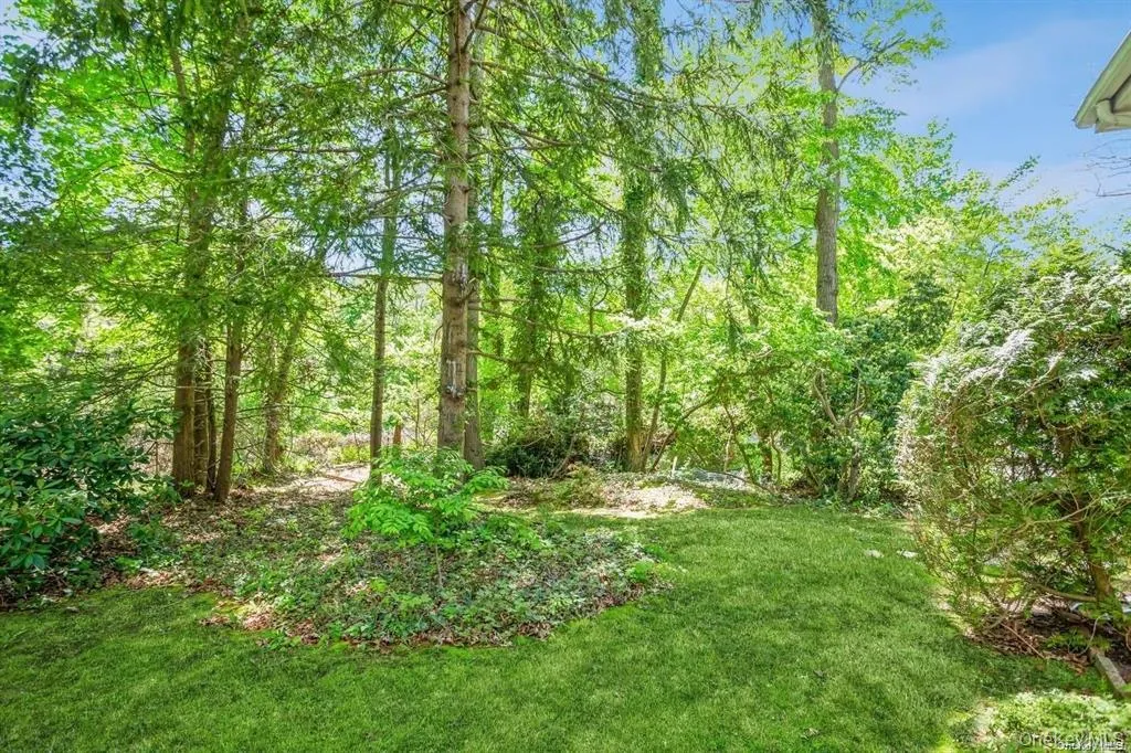 Large yard Large yard