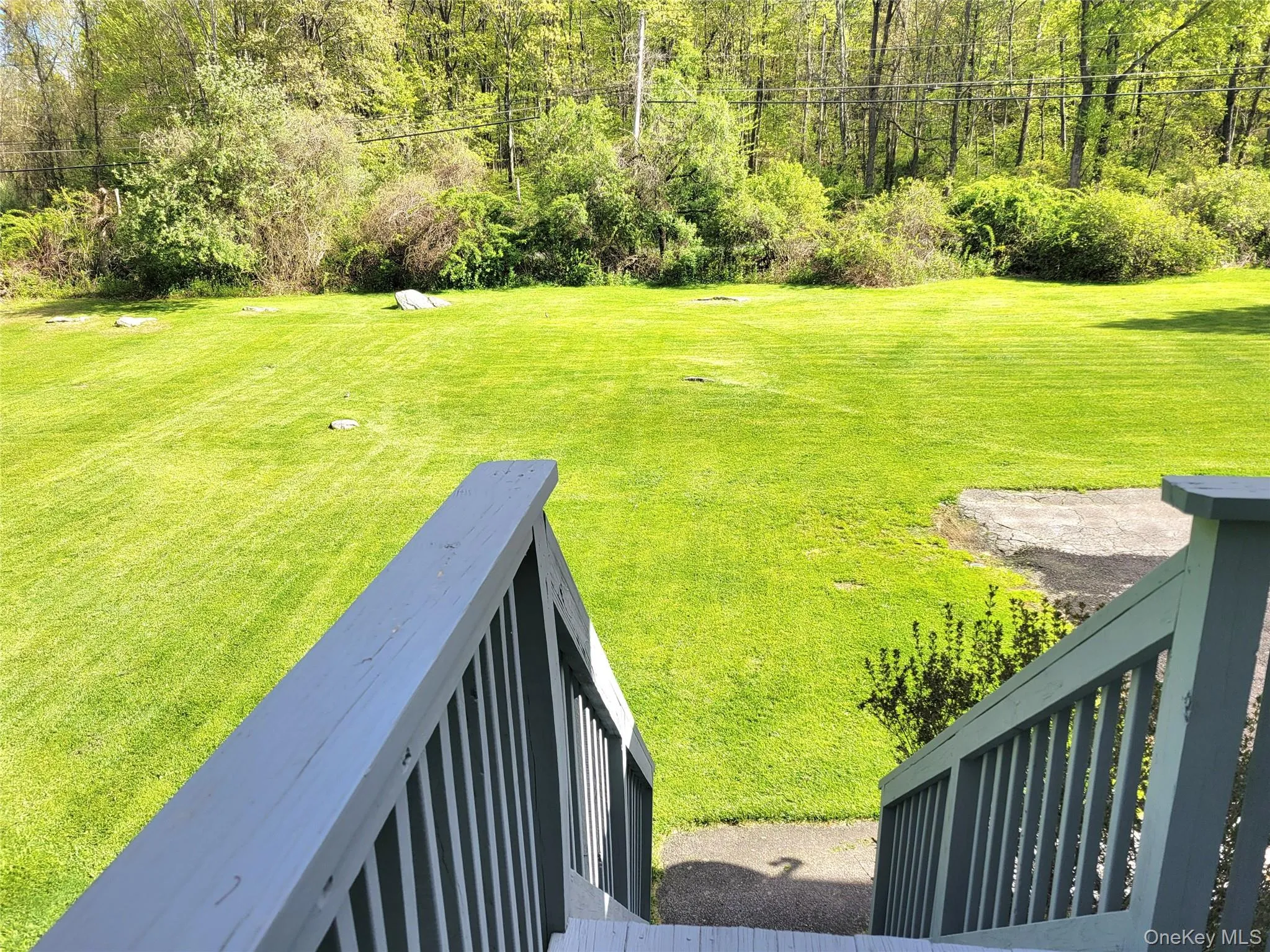 Back Deck to Magnificent Back Yard Back Deck to Magnificent Back Yard