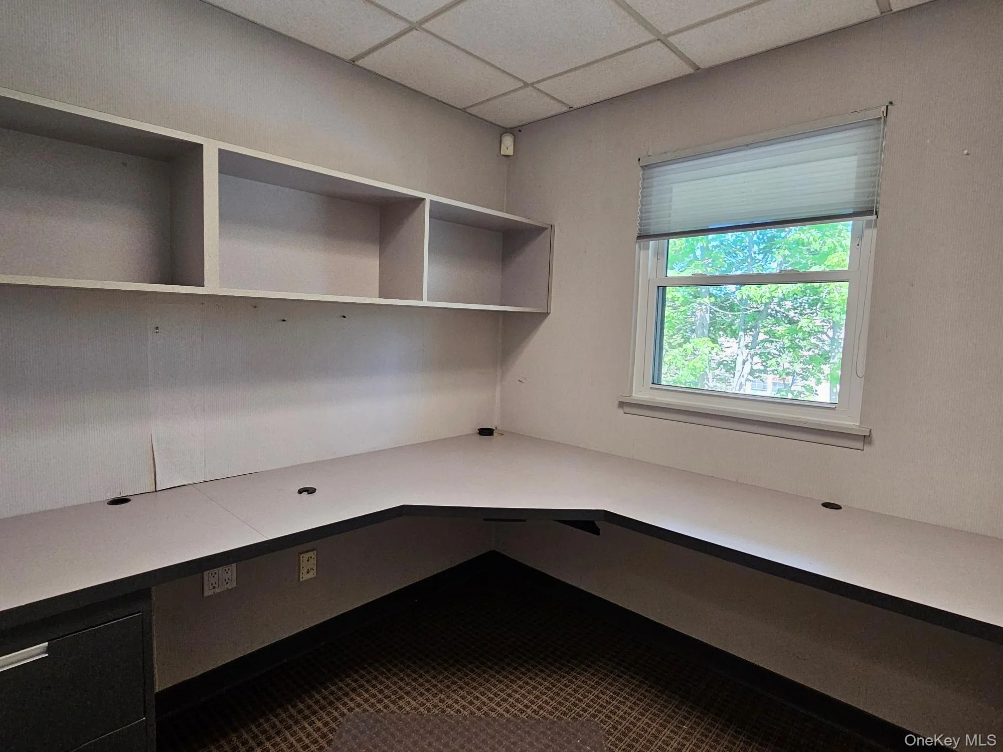 202 Main Street, Huntington, NY, ,Commercial Lease,For Rent,Main,0,996857 202 Main Street, Huntington, NY, ,Commercial Lease,For Rent,Main,0,996857