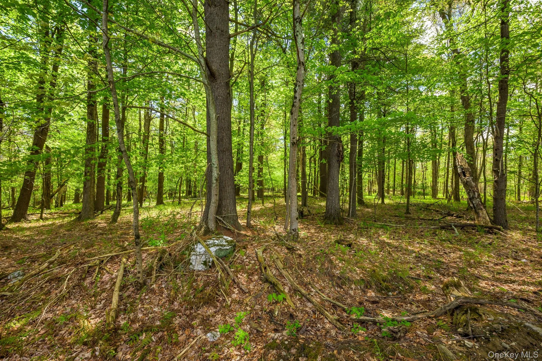 0 County Route 21, Hillsdale, NY, ,Land,For Rent,County Route 21,0,996860 0 County Route 21, Hillsdale, NY, ,Land,For Rent,County Route 21,0,996860