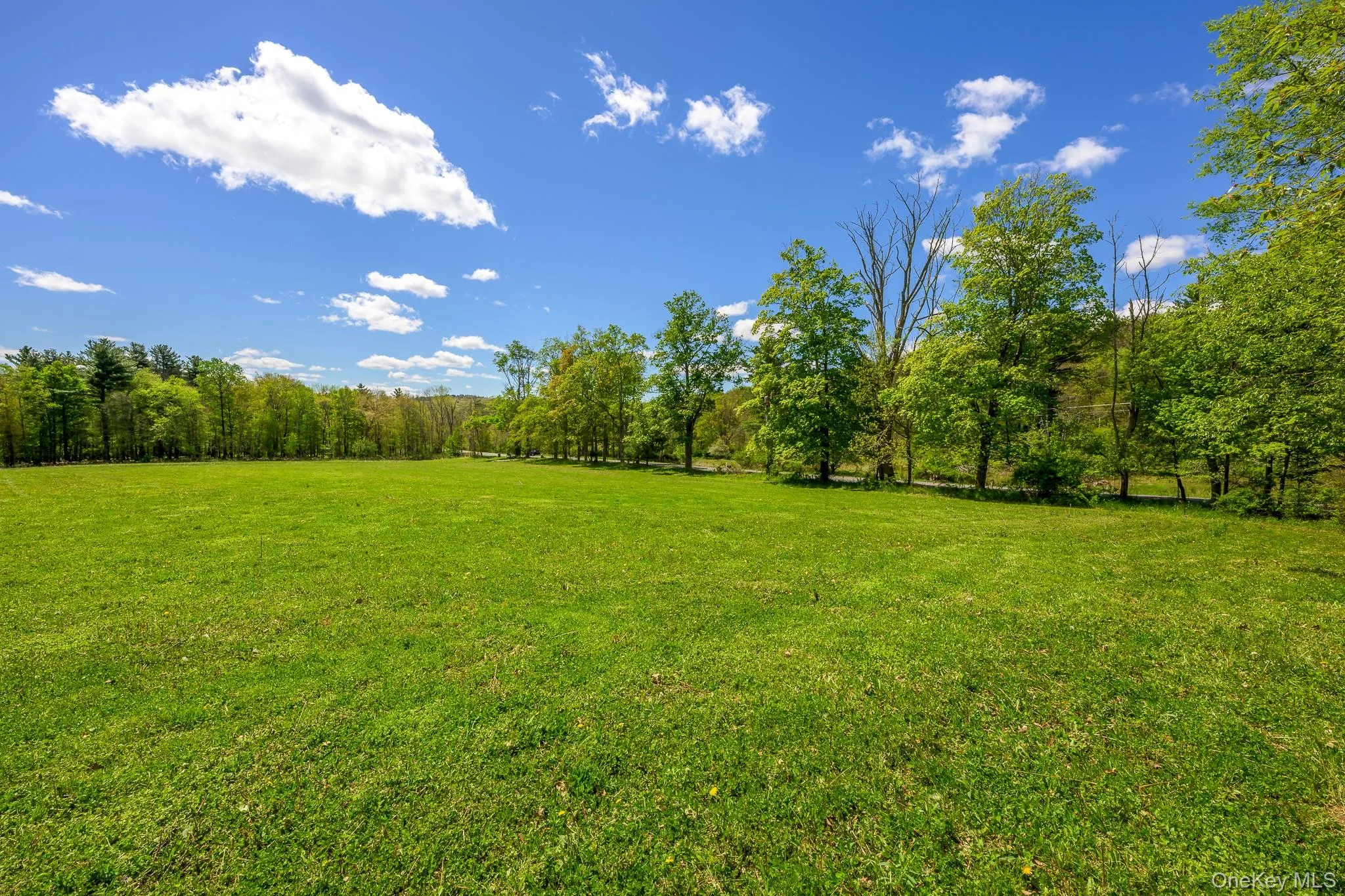 0 County Route 21, Hillsdale, NY, ,Land,For Rent,County Route 21,0,996860 0 County Route 21, Hillsdale, NY, ,Land,For Rent,County Route 21,0,996860