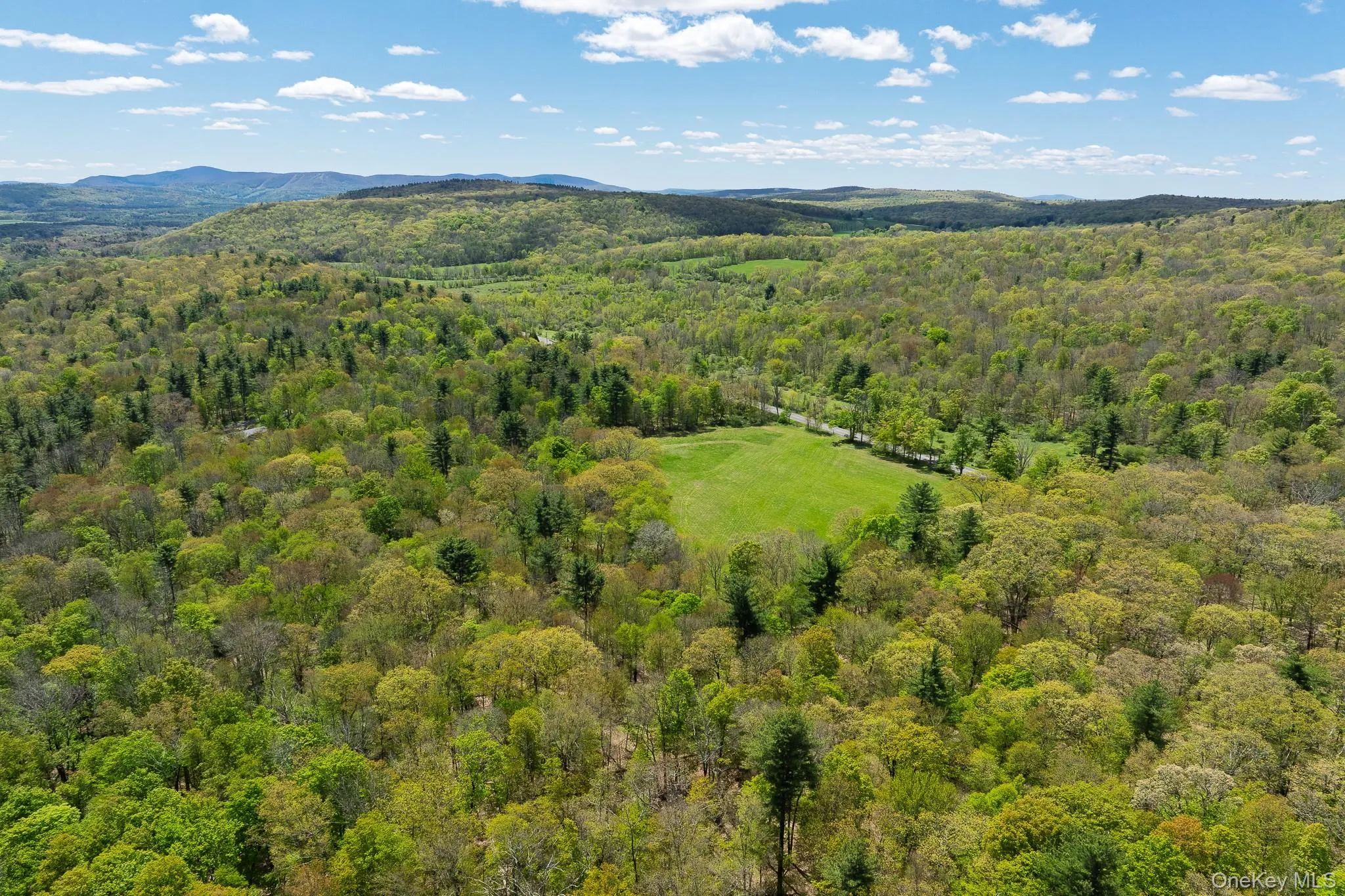 0 County Route 21, Hillsdale, NY, ,Land,For Rent,County Route 21,0,996860 0 County Route 21, Hillsdale, NY, ,Land,For Rent,County Route 21,0,996860