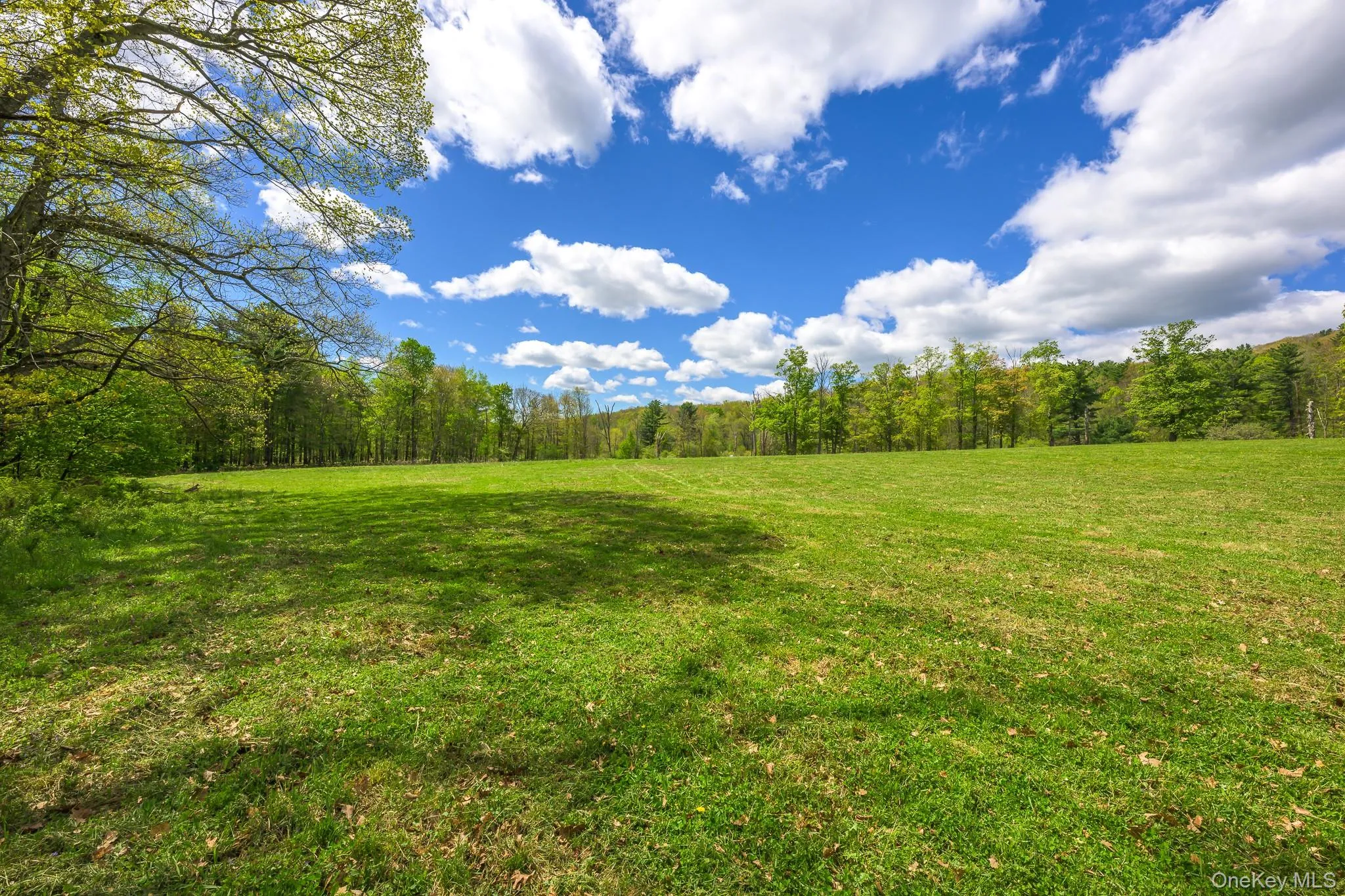 0 County Route 21, Hillsdale, NY, ,Land,For Rent,County Route 21,0,996860 0 County Route 21, Hillsdale, NY, ,Land,For Rent,County Route 21,0,996860