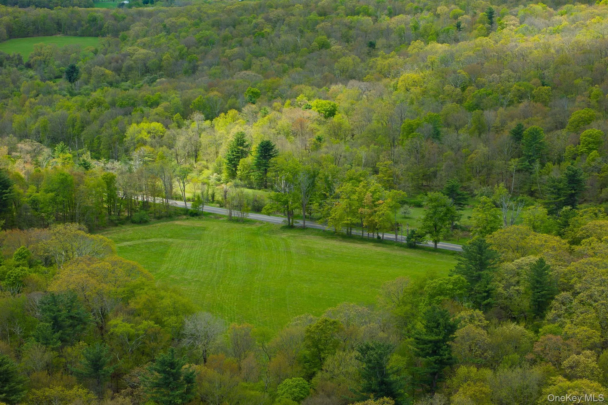 0 County Route 21, Hillsdale, NY, ,Land,For Rent,County Route 21,0,996860 0 County Route 21, Hillsdale, NY, ,Land,For Rent,County Route 21,0,996860