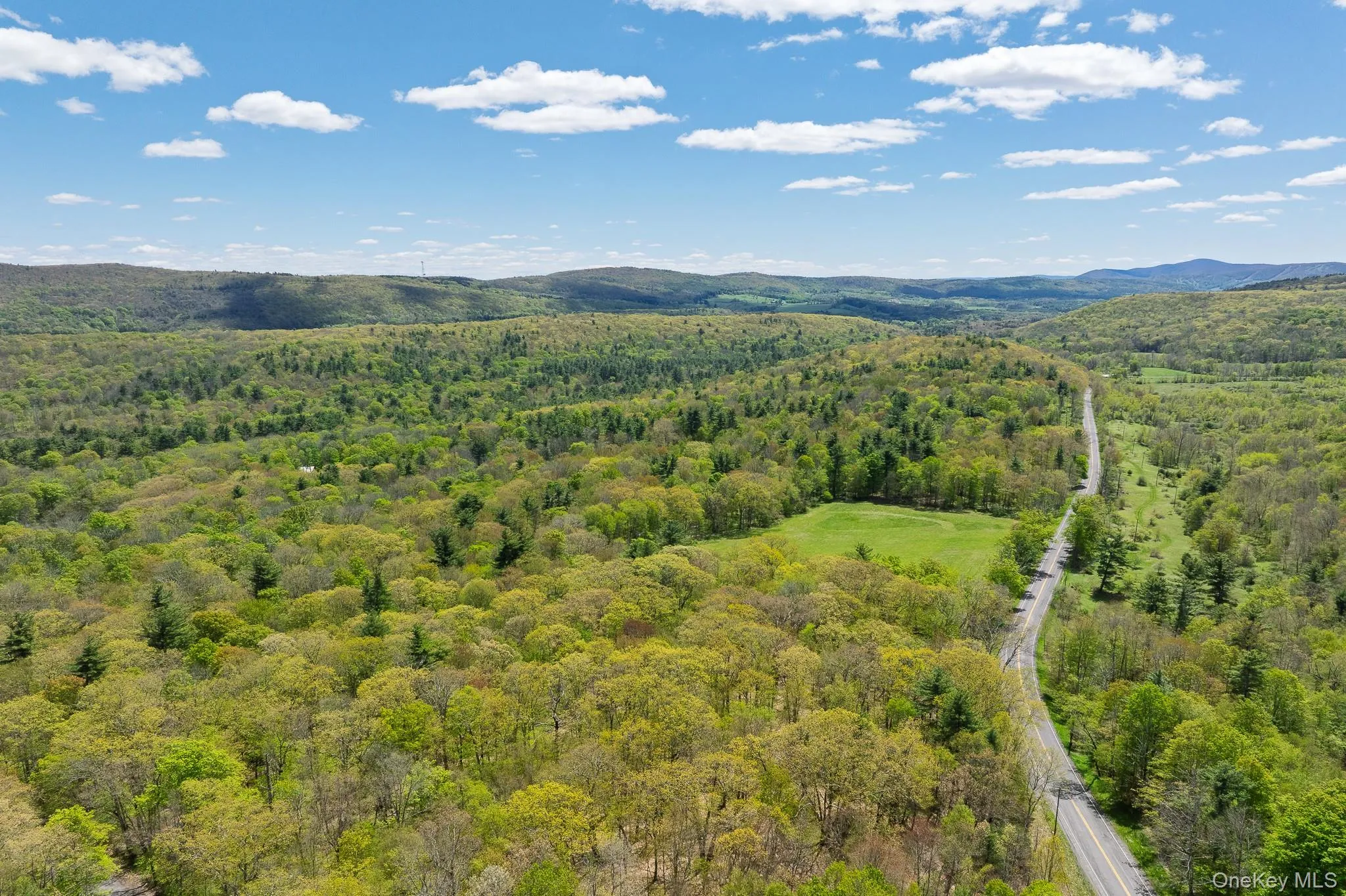 0 County Route 21, Hillsdale, NY, ,Land,For Rent,County Route 21,0,996860 0 County Route 21, Hillsdale, NY, ,Land,For Rent,County Route 21,0,996860