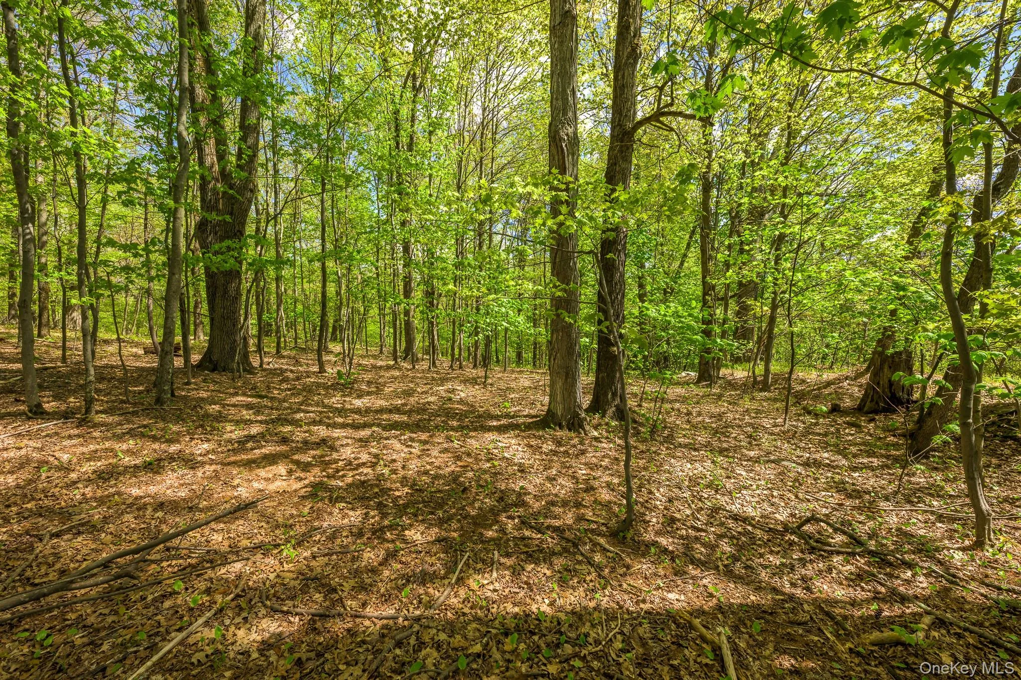0 County Route 21, Hillsdale, NY, ,Land,For Rent,County Route 21,0,996860 0 County Route 21, Hillsdale, NY, ,Land,For Rent,County Route 21,0,996860