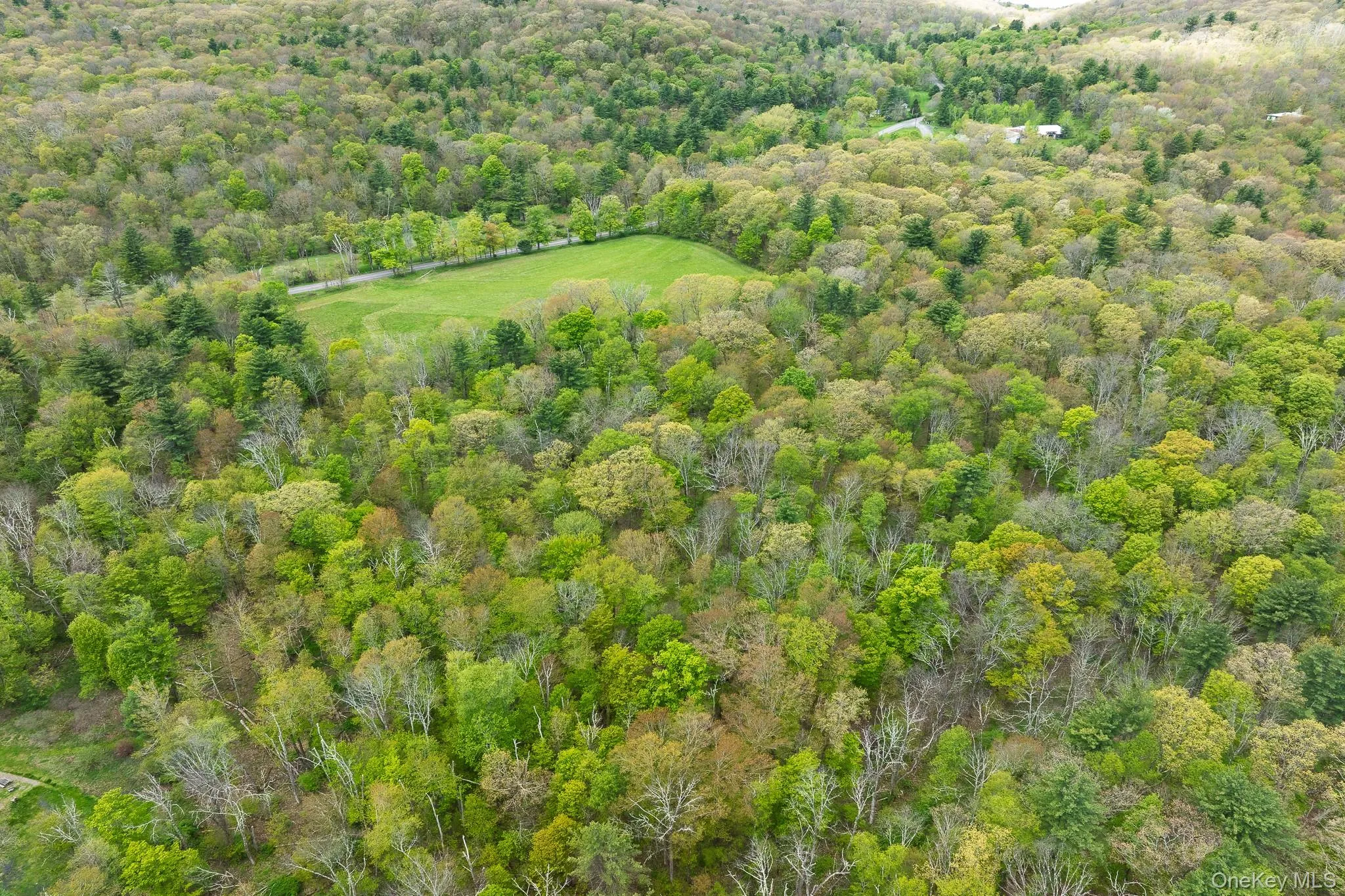 0 County Route 21, Hillsdale, NY, ,Land,For Rent,County Route 21,0,996860 0 County Route 21, Hillsdale, NY, ,Land,For Rent,County Route 21,0,996860