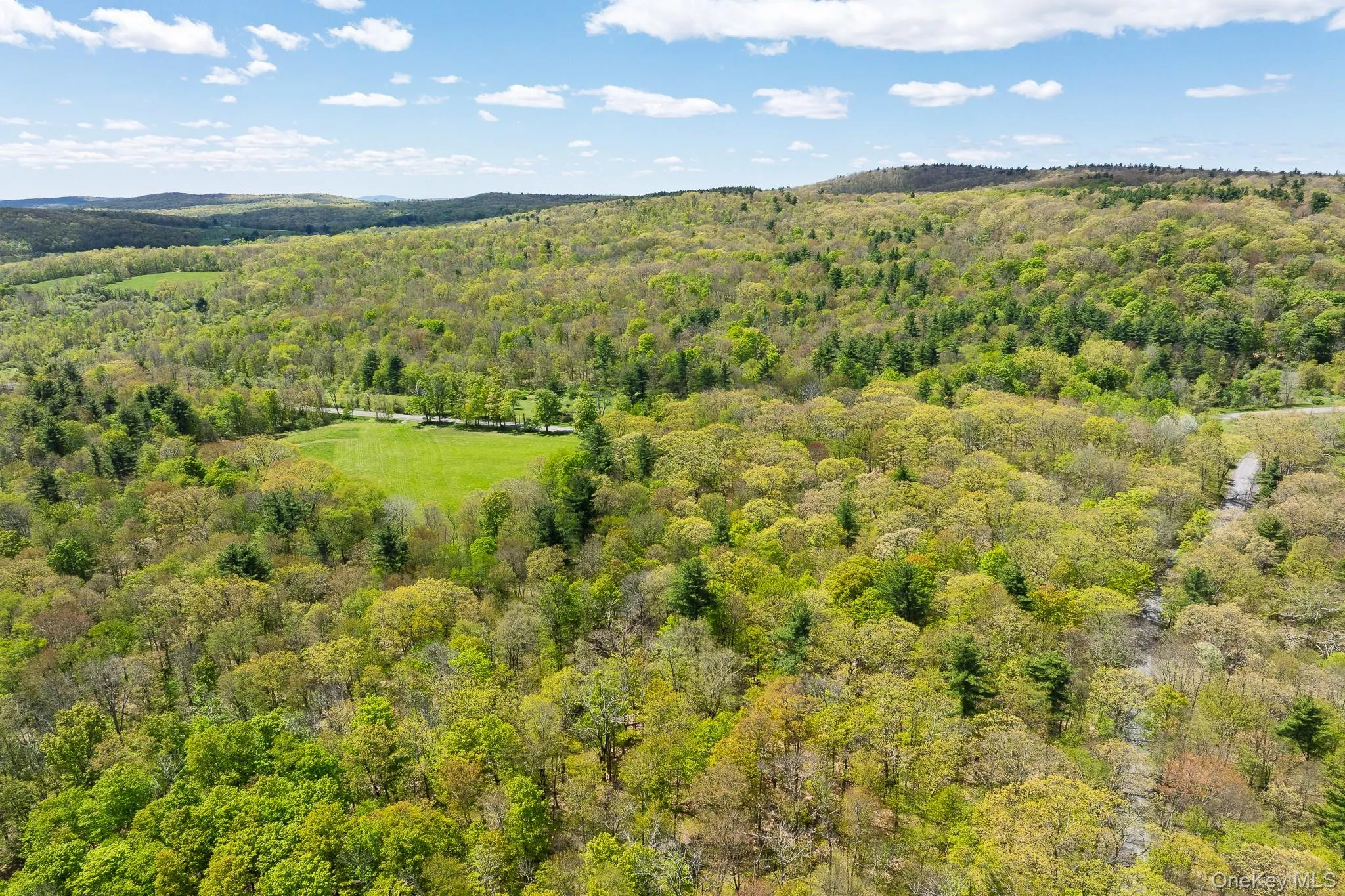 0 County Route 21, Hillsdale, NY, ,Land,For Rent,County Route 21,0,996860 0 County Route 21, Hillsdale, NY, ,Land,For Rent,County Route 21,0,996860