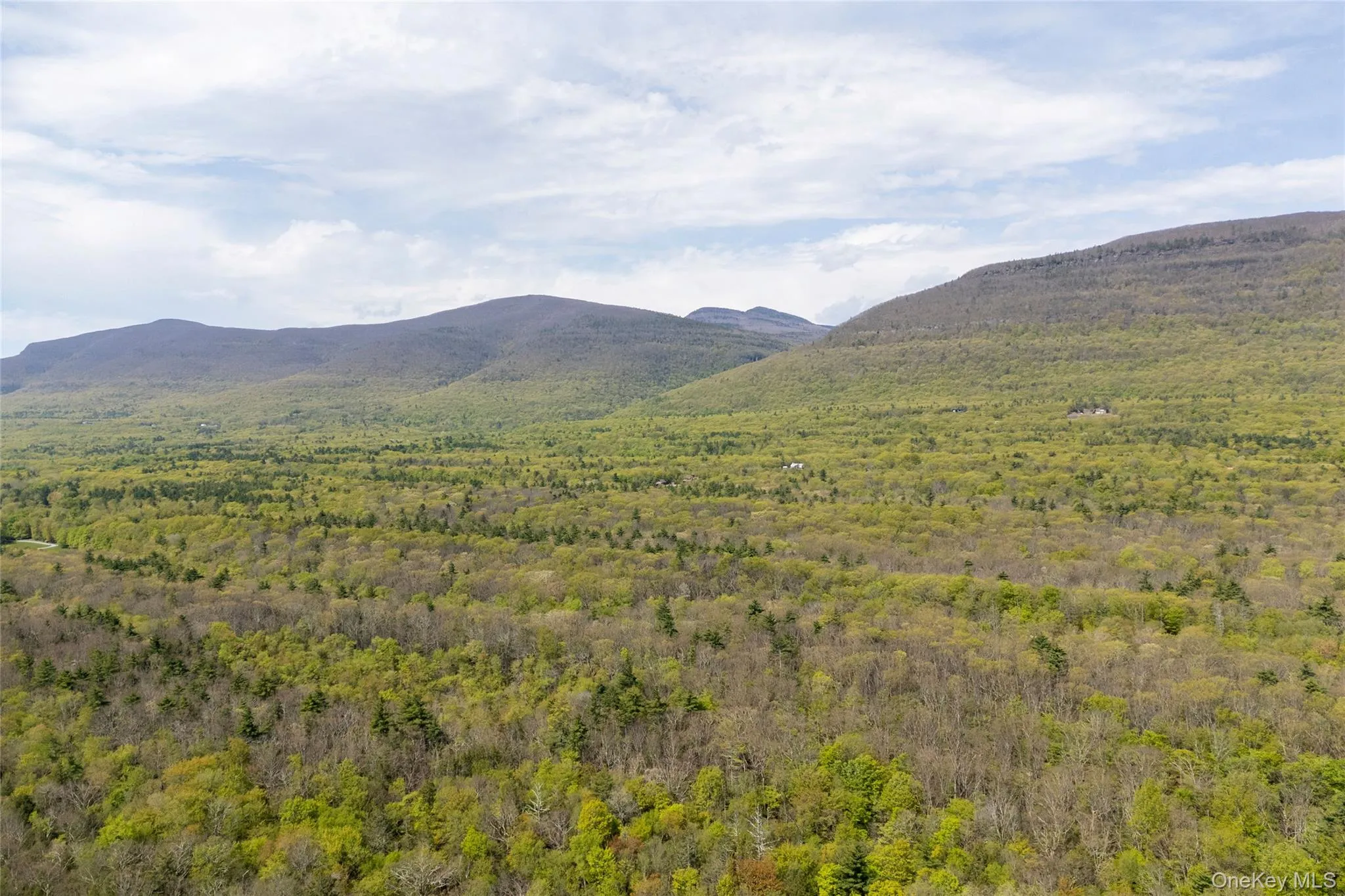 45 Charles Hommel Road, Saugerties, NY, 2 Bedrooms Bedrooms, 5 Rooms Rooms,2 BathroomsBathrooms,Residential Sale,For Rent,Charles Hommel,0,996890 45 Charles Hommel Road, Saugerties, NY, 2 Bedrooms Bedrooms, 5 Rooms Rooms,2 BathroomsBathrooms,Residential Sale,For Rent,Charles Hommel,0,996890