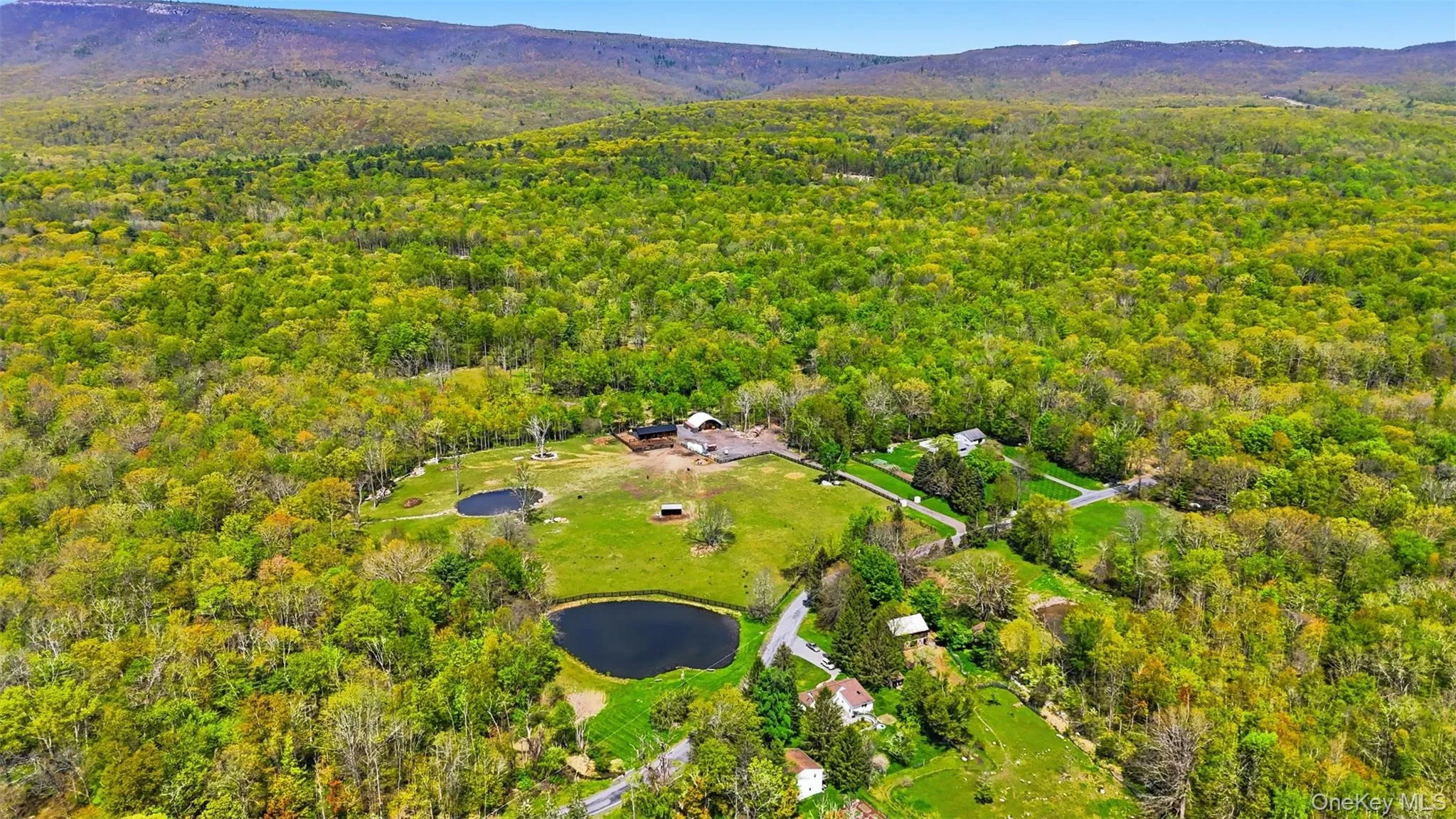 51 Redder Road, Shawangunk, NY, 8 Bedrooms Bedrooms, 12 Rooms Rooms,4 BathroomsBathrooms,Residential,For Rent,Redder,0,996913 51 Redder Road, Shawangunk, NY, 8 Bedrooms Bedrooms, 12 Rooms Rooms,4 BathroomsBathrooms,Residential,For Rent,Redder,0,996913