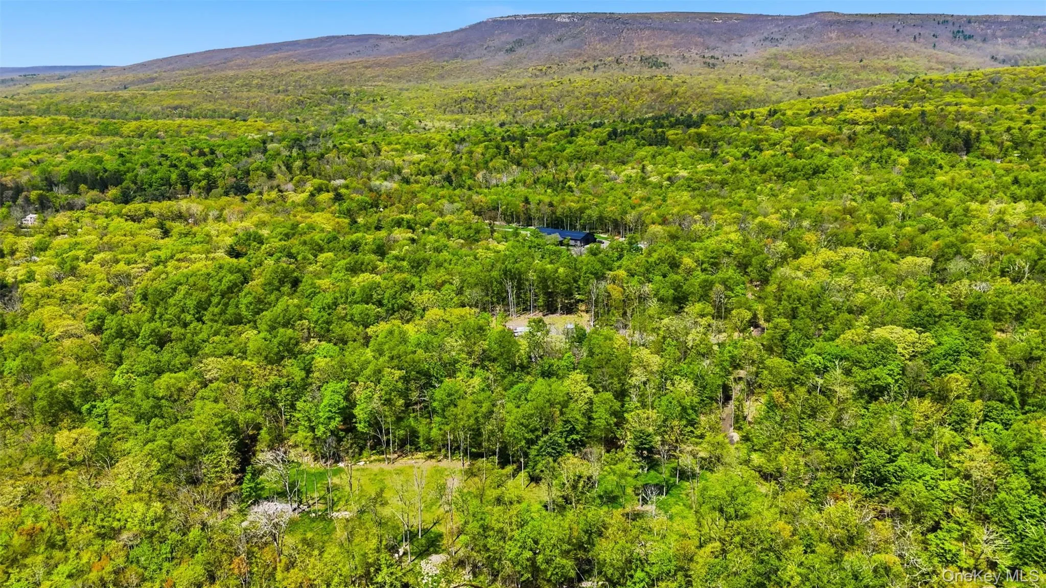 51 Redder Road, Shawangunk, NY, 8 Bedrooms Bedrooms, 12 Rooms Rooms,4 BathroomsBathrooms,Residential,For Rent,Redder,0,996913 51 Redder Road, Shawangunk, NY, 8 Bedrooms Bedrooms, 12 Rooms Rooms,4 BathroomsBathrooms,Residential,For Rent,Redder,0,996913