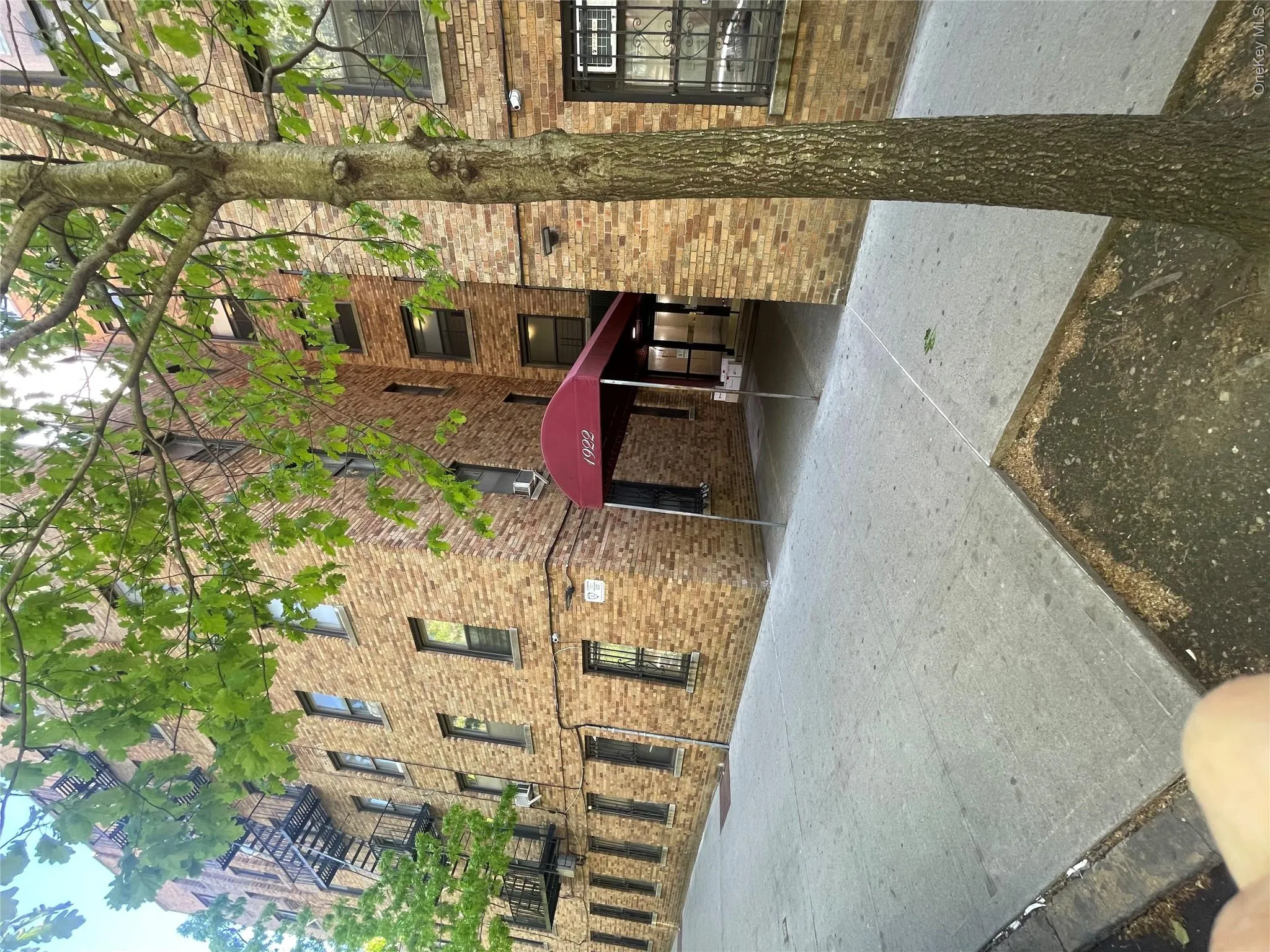 1922 Mc Graw Avenue, New York, NY, 1 Bedroom Bedrooms, 3 Rooms Rooms,1 BathroomBathrooms,Residential Sale,For Rent,Mc Graw,0,996929 1922 Mc Graw Avenue, New York, NY, 1 Bedroom Bedrooms, 3 Rooms Rooms,1 BathroomBathrooms,Residential Sale,For Rent,Mc Graw,0,996929