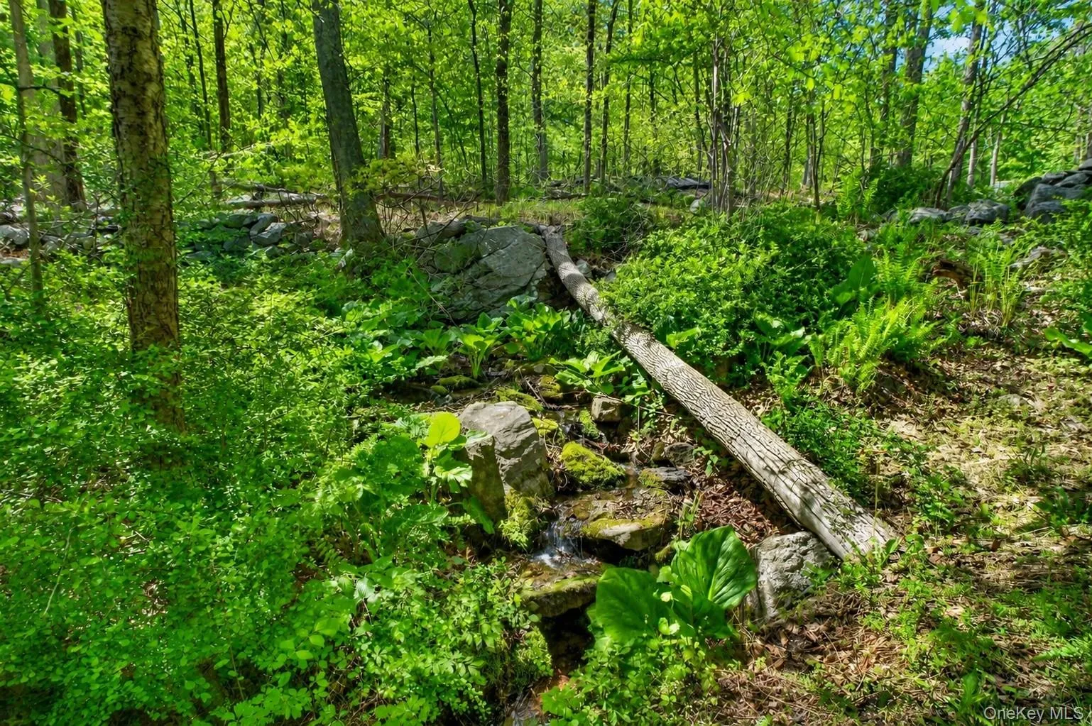22 Hazel Hill Road, Carmel, NY, 3 Bedrooms Bedrooms, 6 Rooms Rooms,3 BathroomsBathrooms,Residential,For Rent,Hazel Hill,0,997068 22 Hazel Hill Road, Carmel, NY, 3 Bedrooms Bedrooms, 6 Rooms Rooms,3 BathroomsBathrooms,Residential,For Rent,Hazel Hill,0,997068