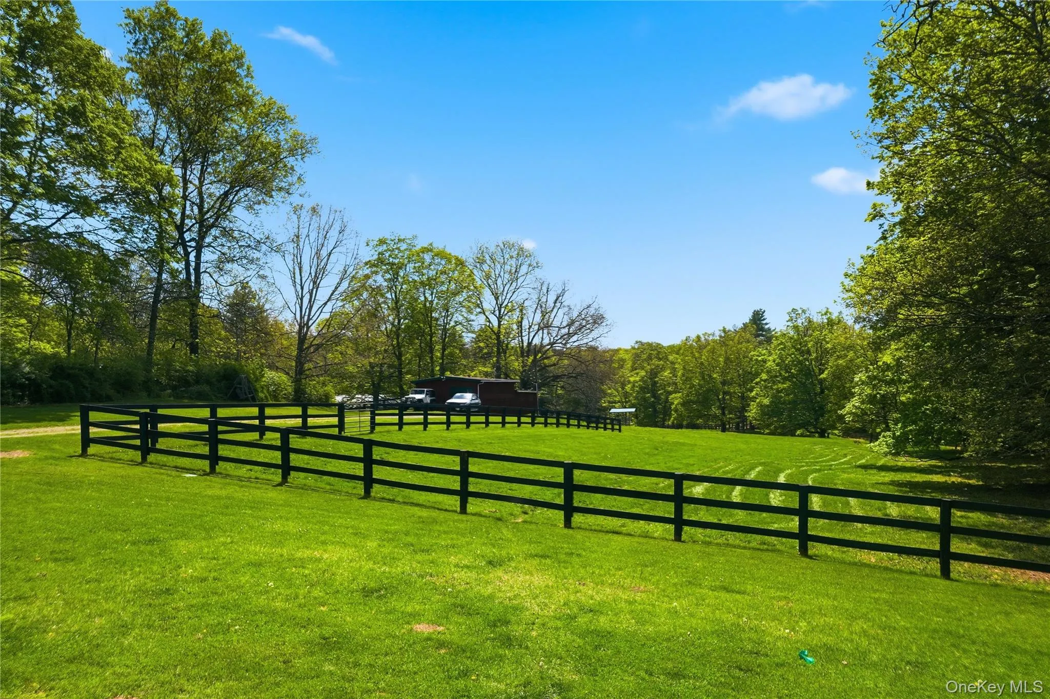 11 Haggerty Hill Road, Rhinebeck, NY, 3 Bedrooms Bedrooms, 8 Rooms Rooms,2 BathroomsBathrooms,Residential,For Rent,Haggerty Hill,0,997124 11 Haggerty Hill Road, Rhinebeck, NY, 3 Bedrooms Bedrooms, 8 Rooms Rooms,2 BathroomsBathrooms,Residential,For Rent,Haggerty Hill,0,997124